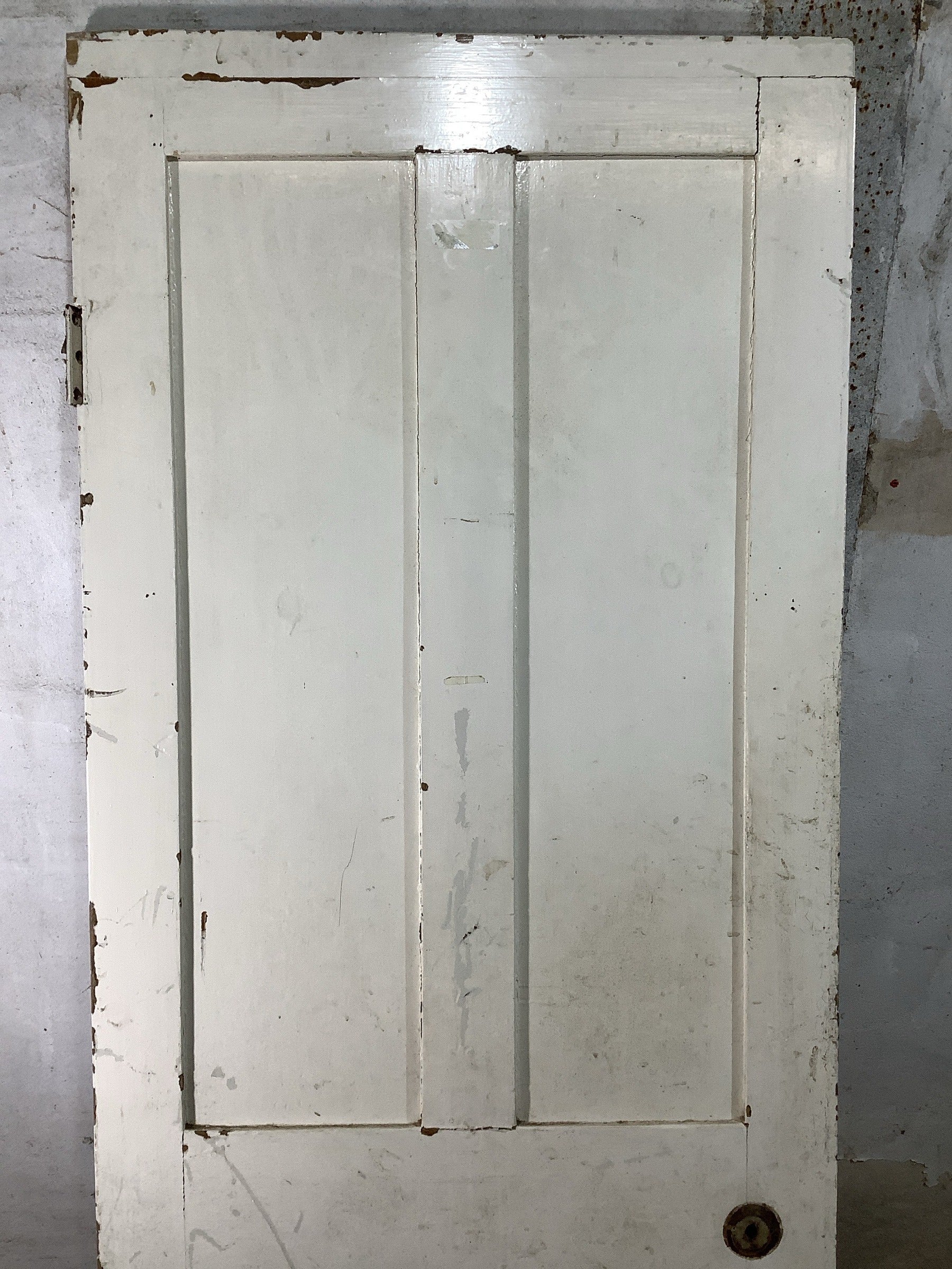 8th Pic Victorian Internal Painted  Pine Reclaimed Door
