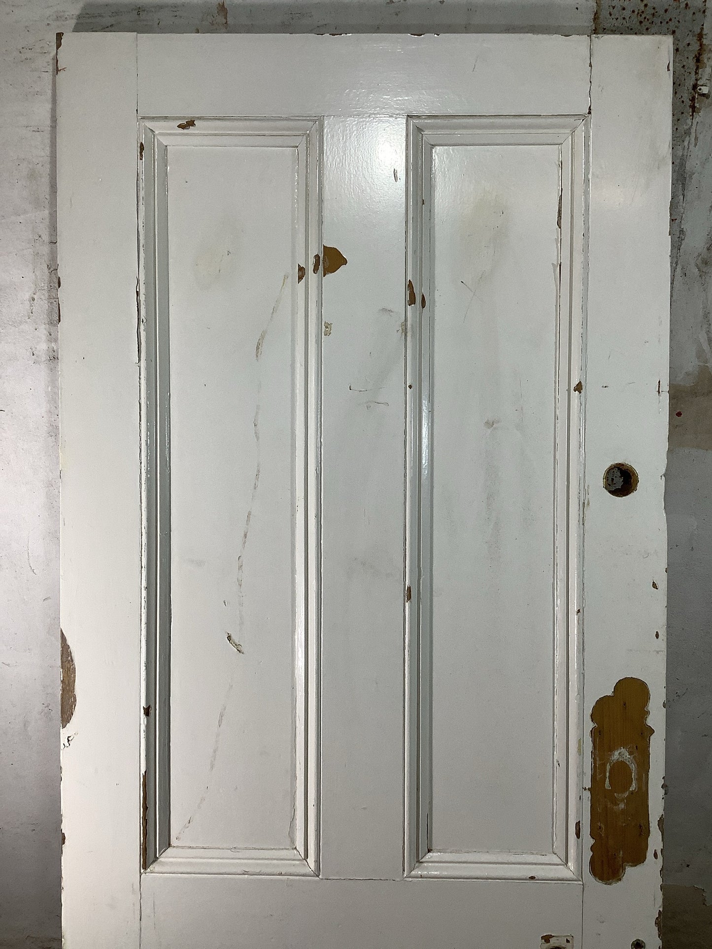 2nd Pic Victorian Internal Painted  Pine Reclaimed Door