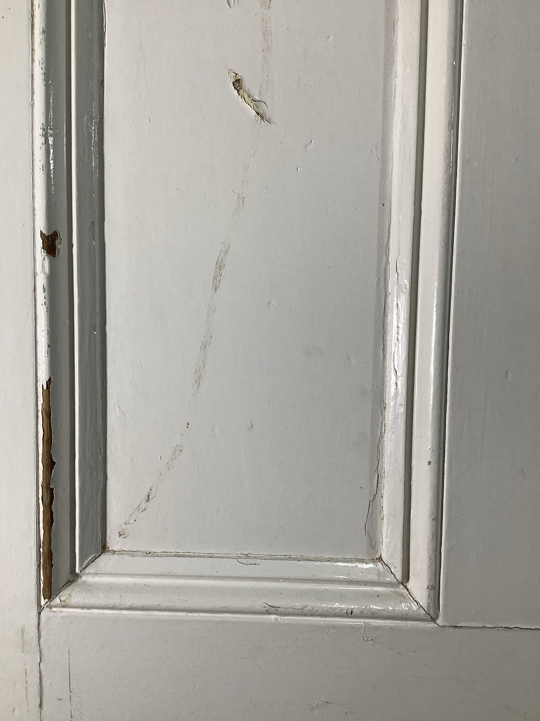 6th Pic Victorian Internal Painted  Pine Reclaimed Door