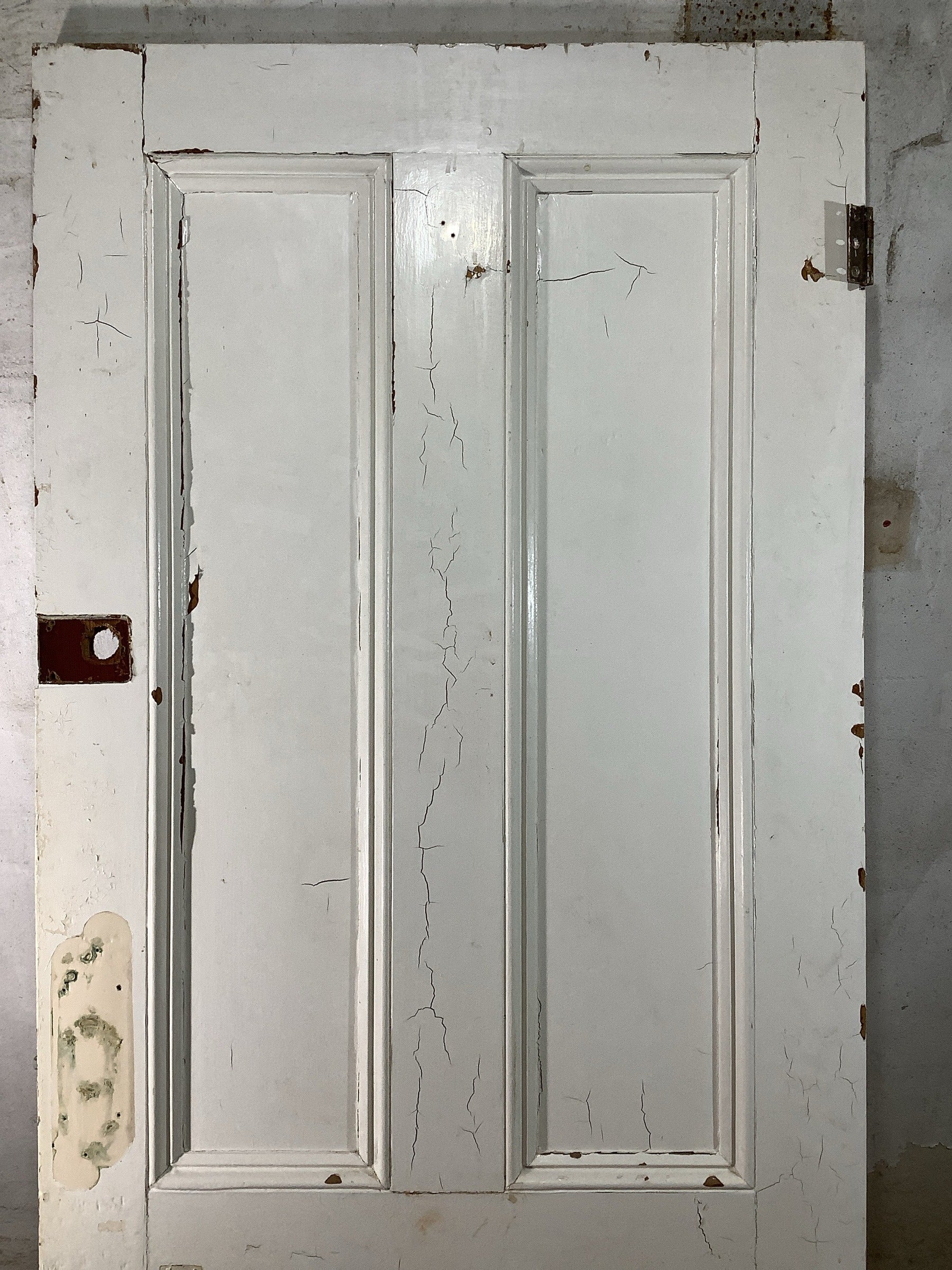 8th Pic Victorian Internal Painted  Pine Reclaimed Door