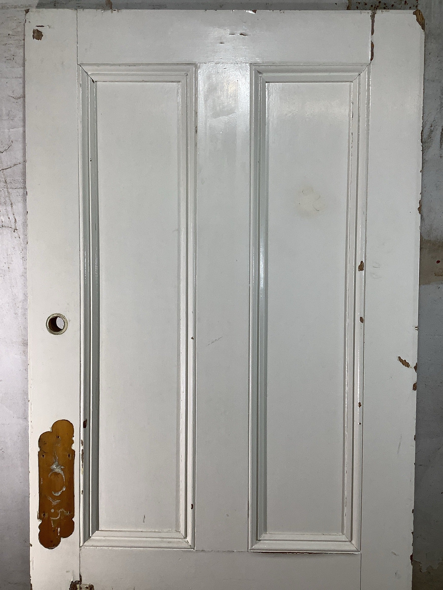 8th Pic Victorian Internal Painted  Pine Reclaimed Door
