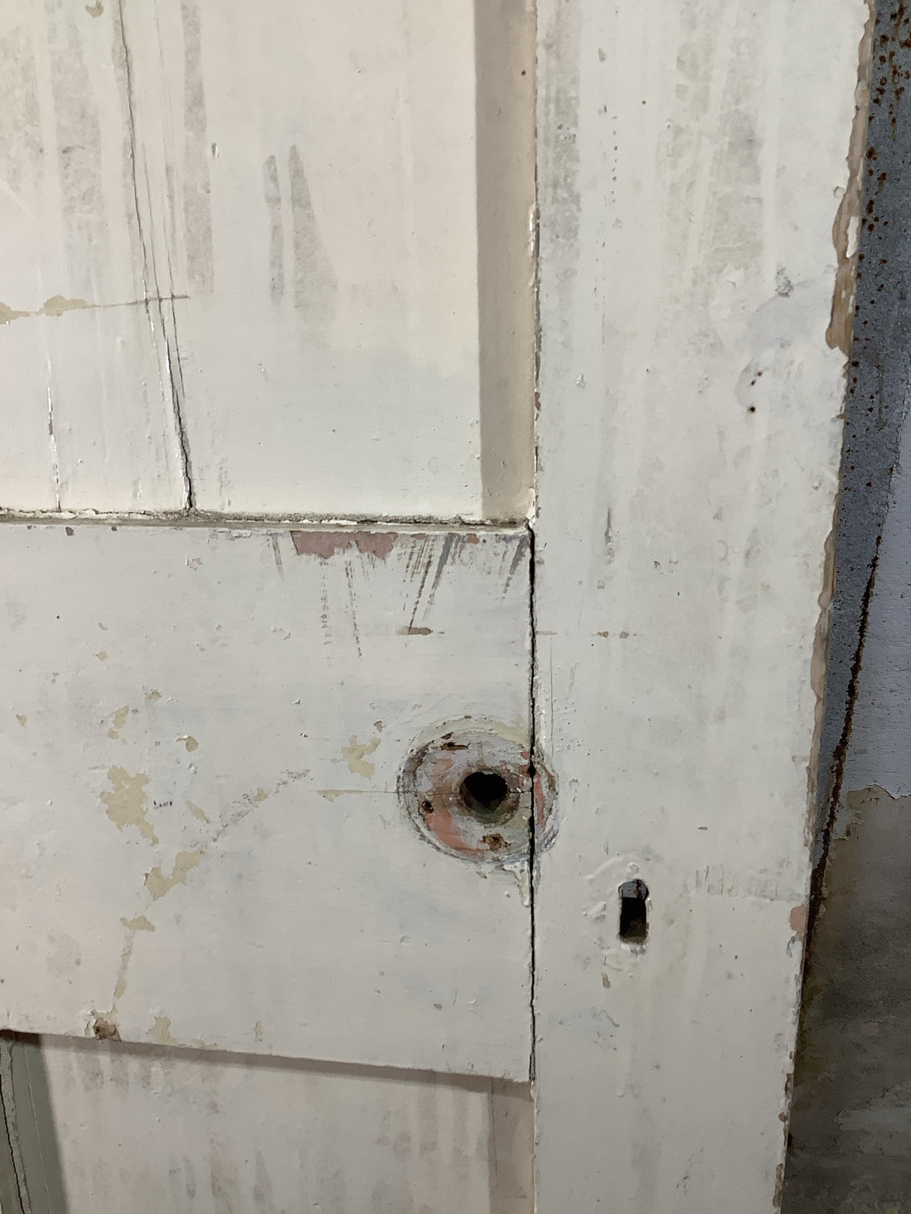 10th Pic Victorian Internal Painted  Pine Reclaimed Door