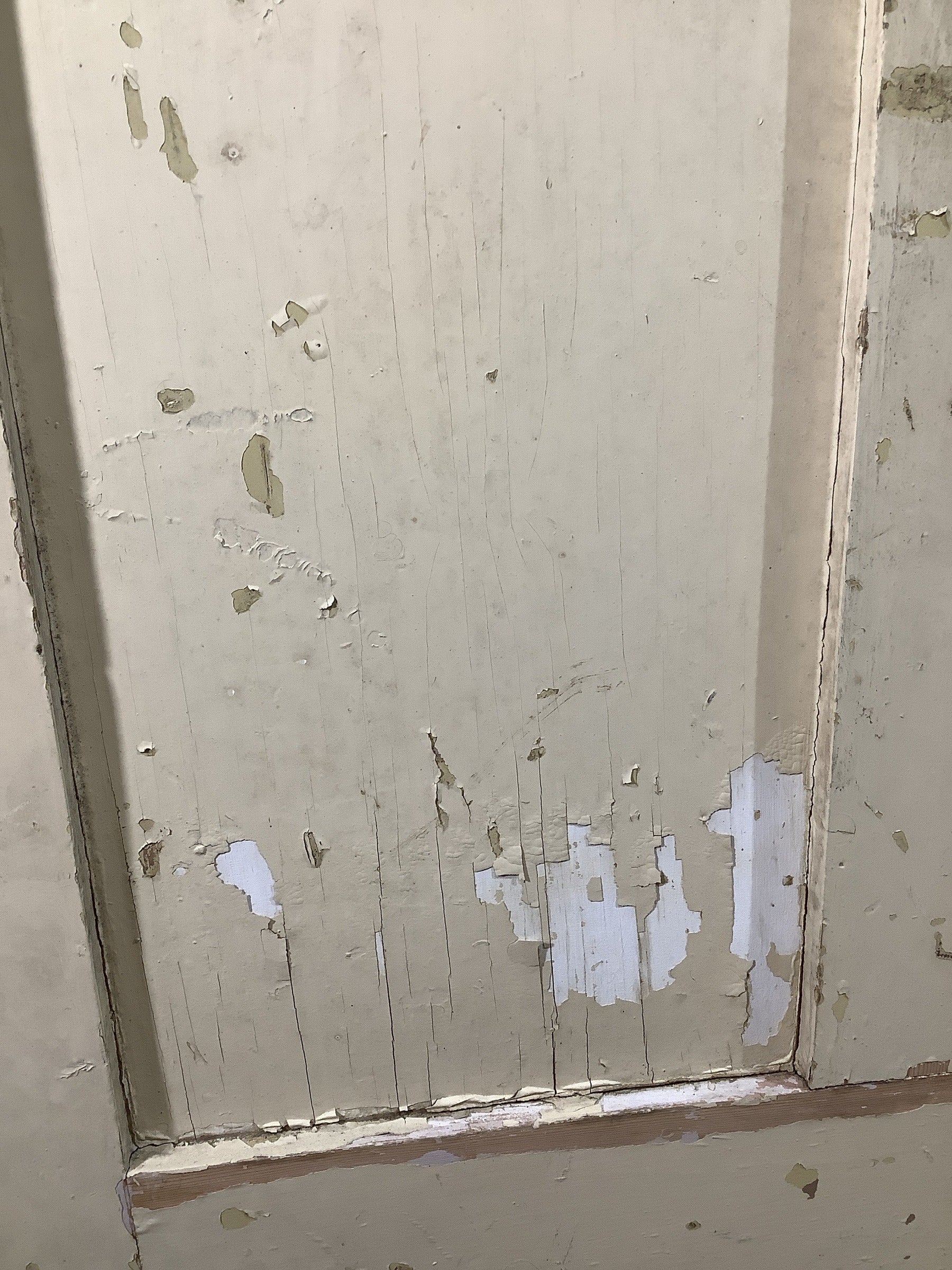 6th Pic Old Internal Painted  Pine Reclaimed Door