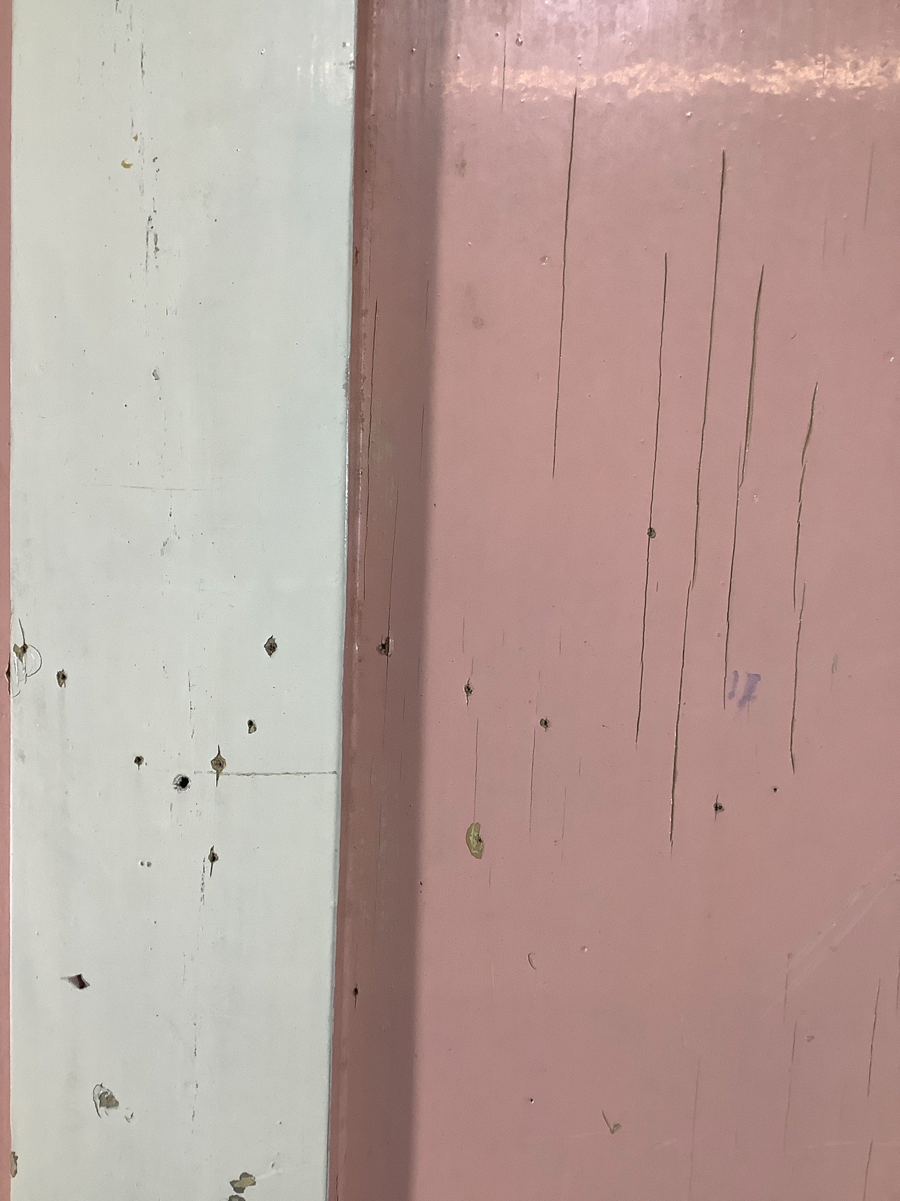 12th Pic Old Internal Painted  Pine Reclaimed Door