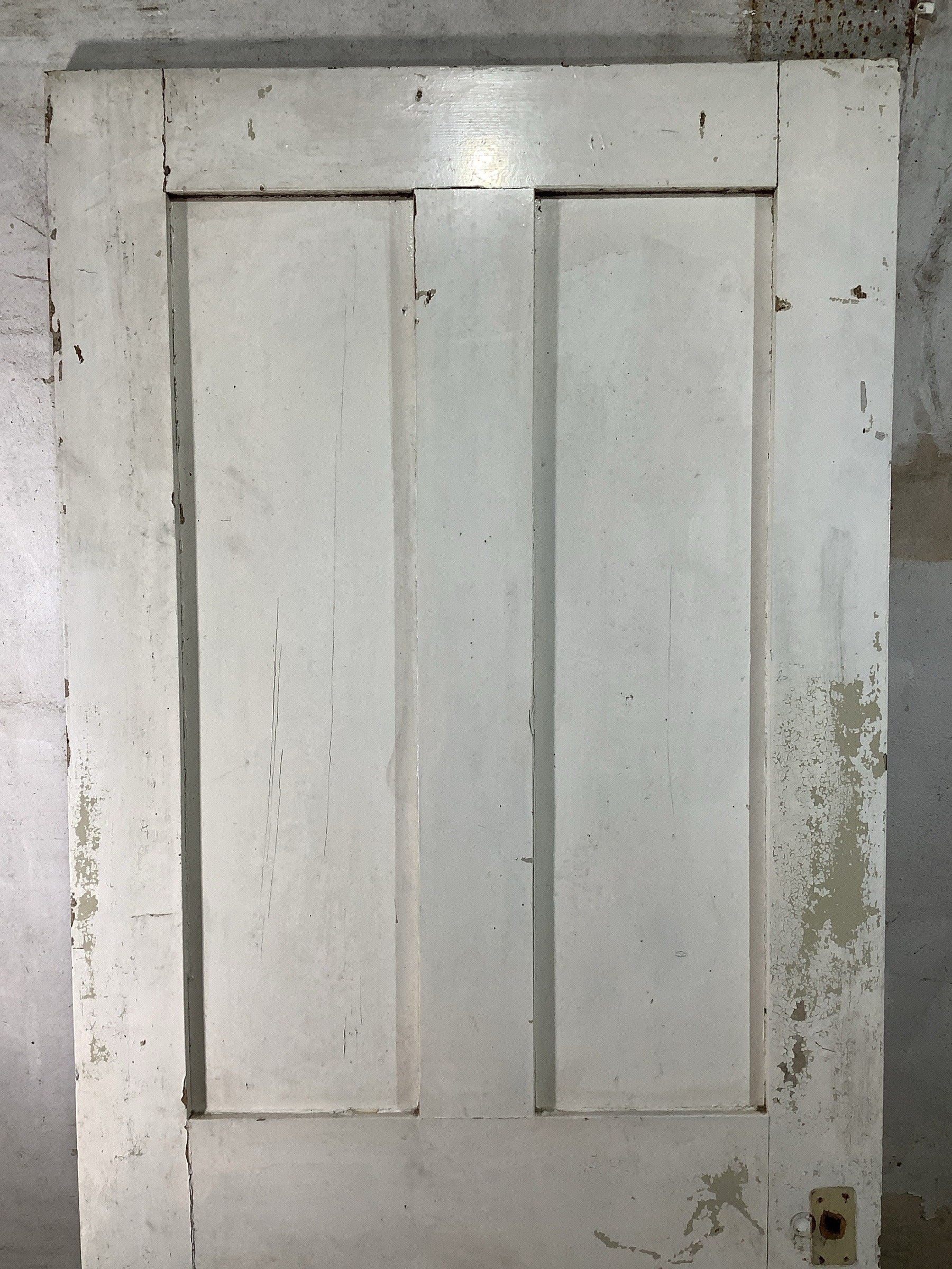 8th Pic Victorian Internal Painted  Pine Reclaimed Door
