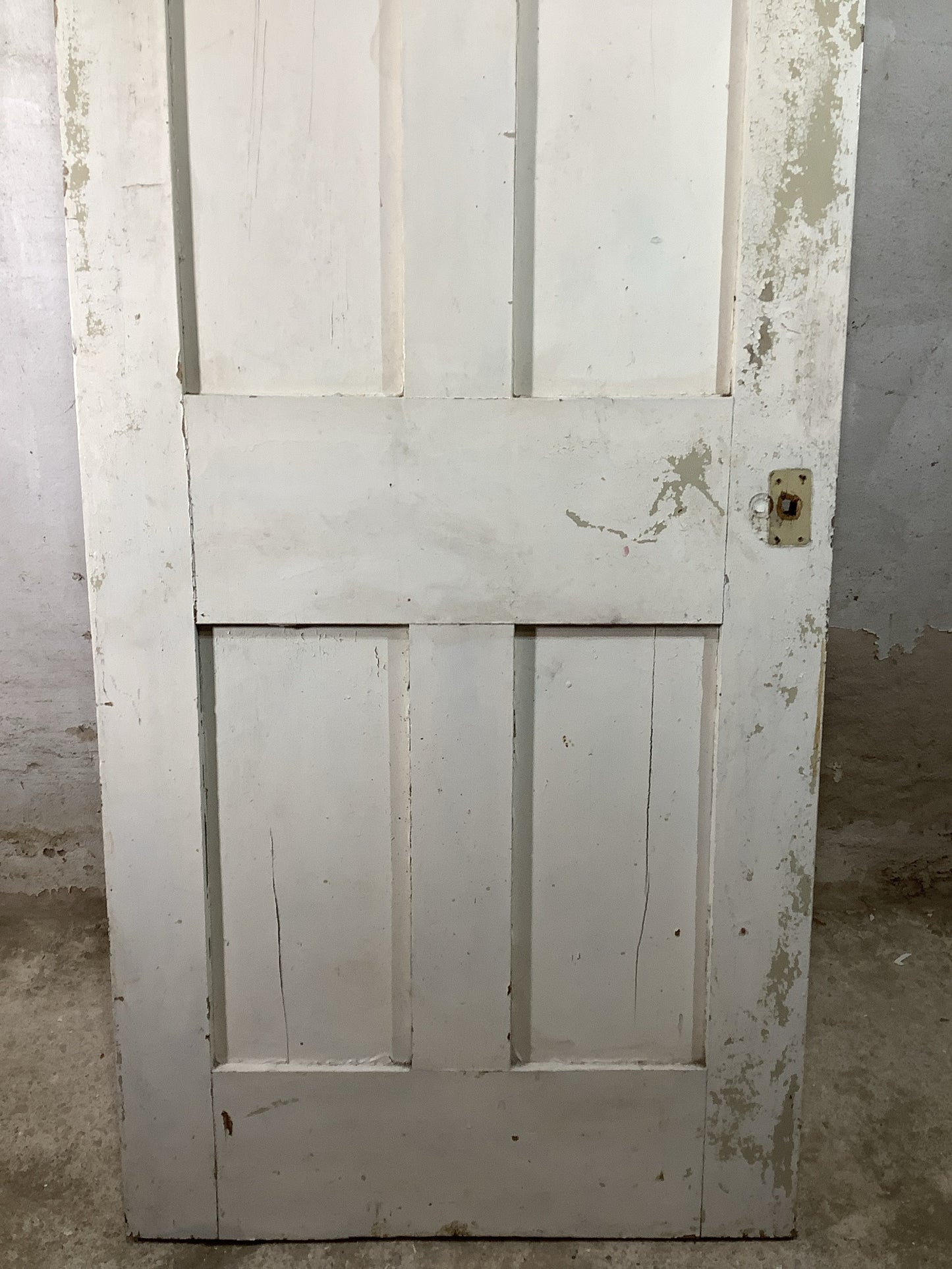 9th Pic Victorian Internal Painted  Pine Reclaimed Door
