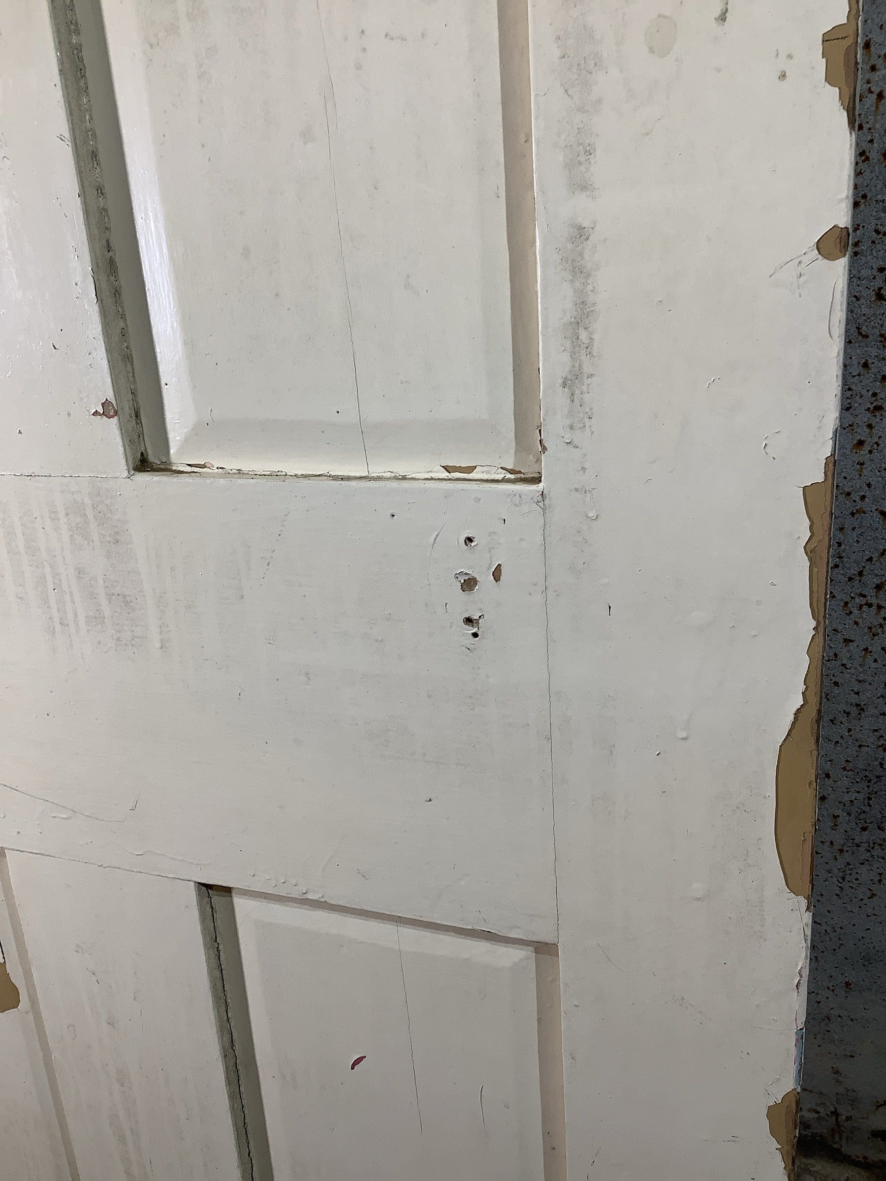 5th Pic Victorian Internal Painted  Pine Reclaimed Door