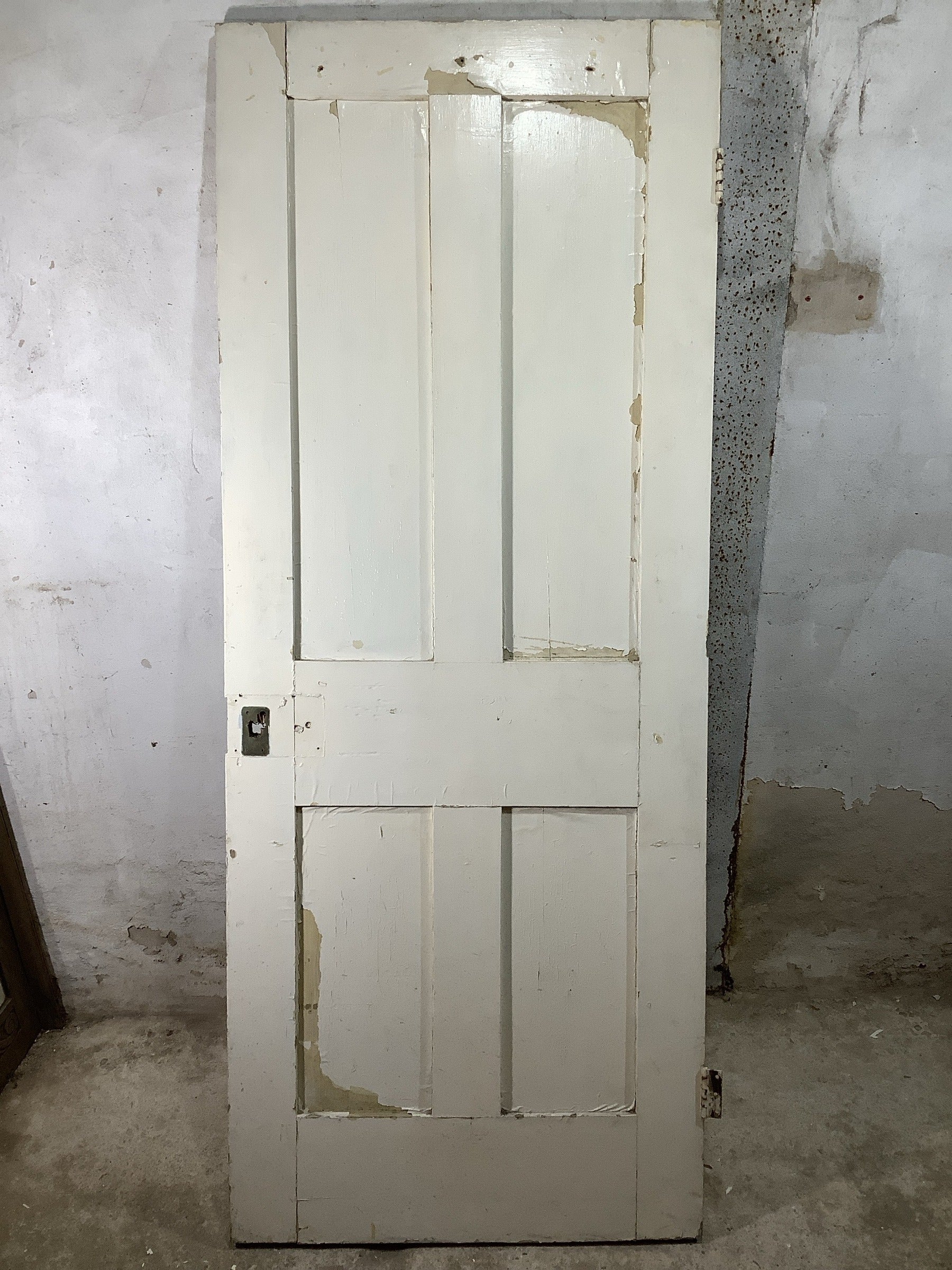 7th Pic Victorian Internal Painted  Pine Reclaimed Door