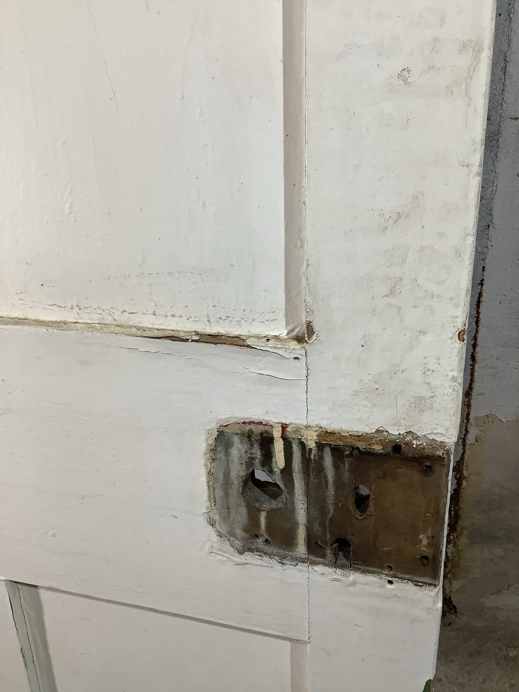 10th Pic Victorian Internal Painted  Pine Reclaimed Door