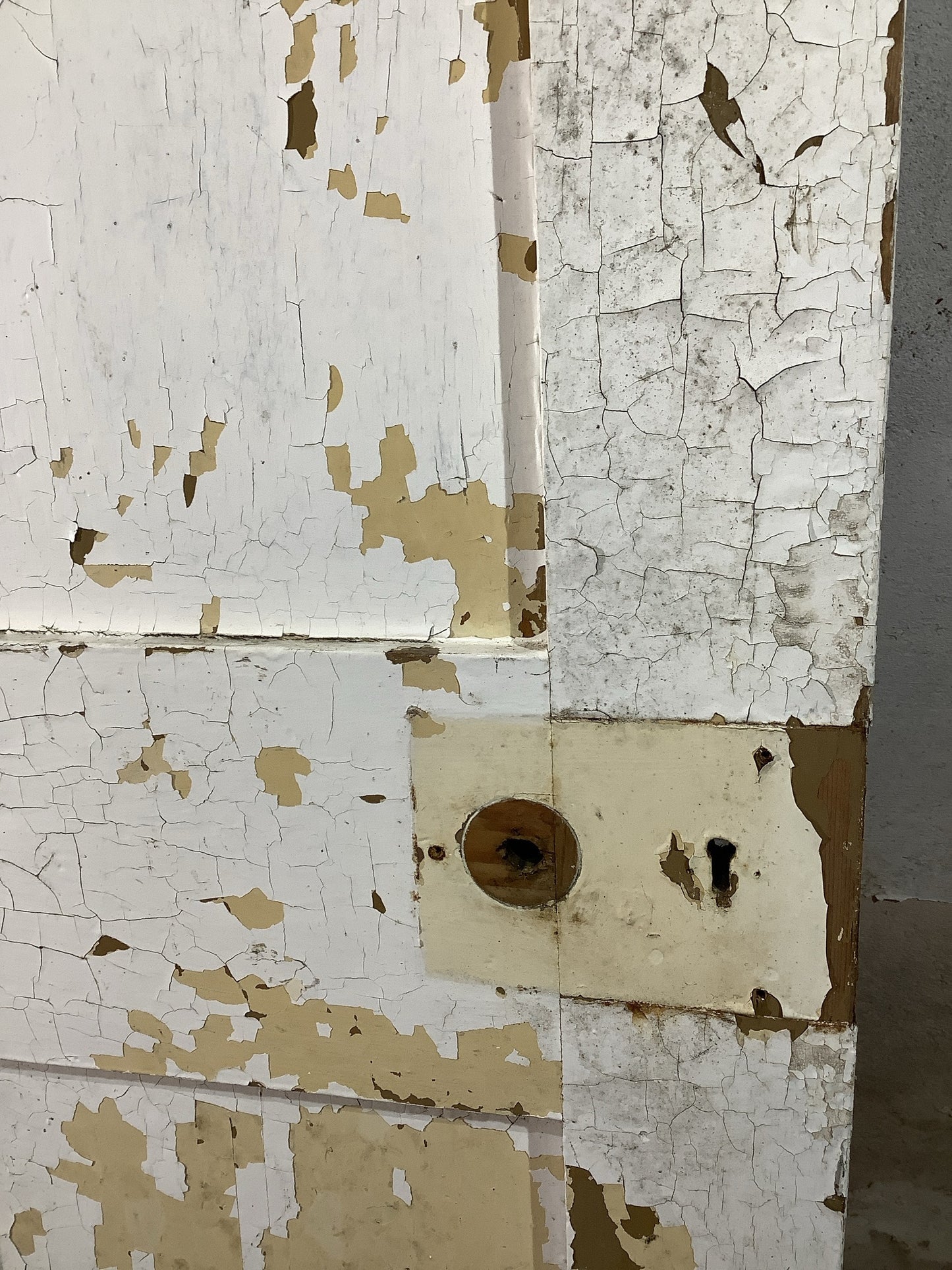 4th Pic Victorian Internal Painted  Pine Reclaimed Door