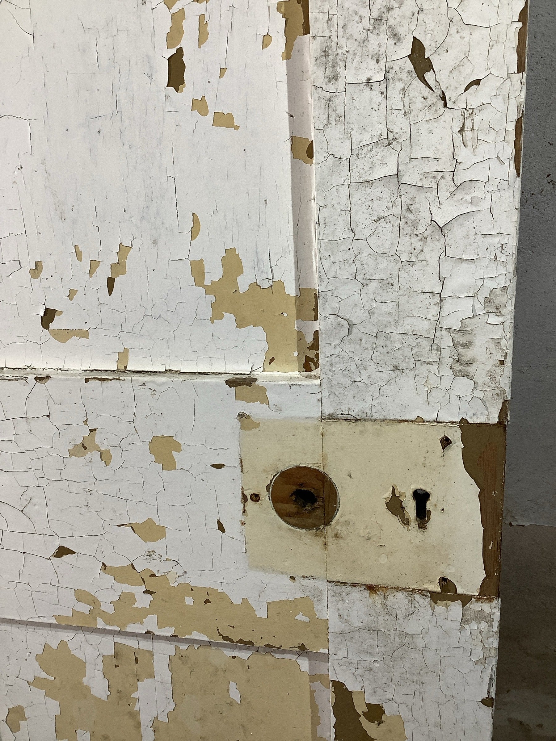 4th Pic Victorian Internal Painted  Pine Reclaimed Door