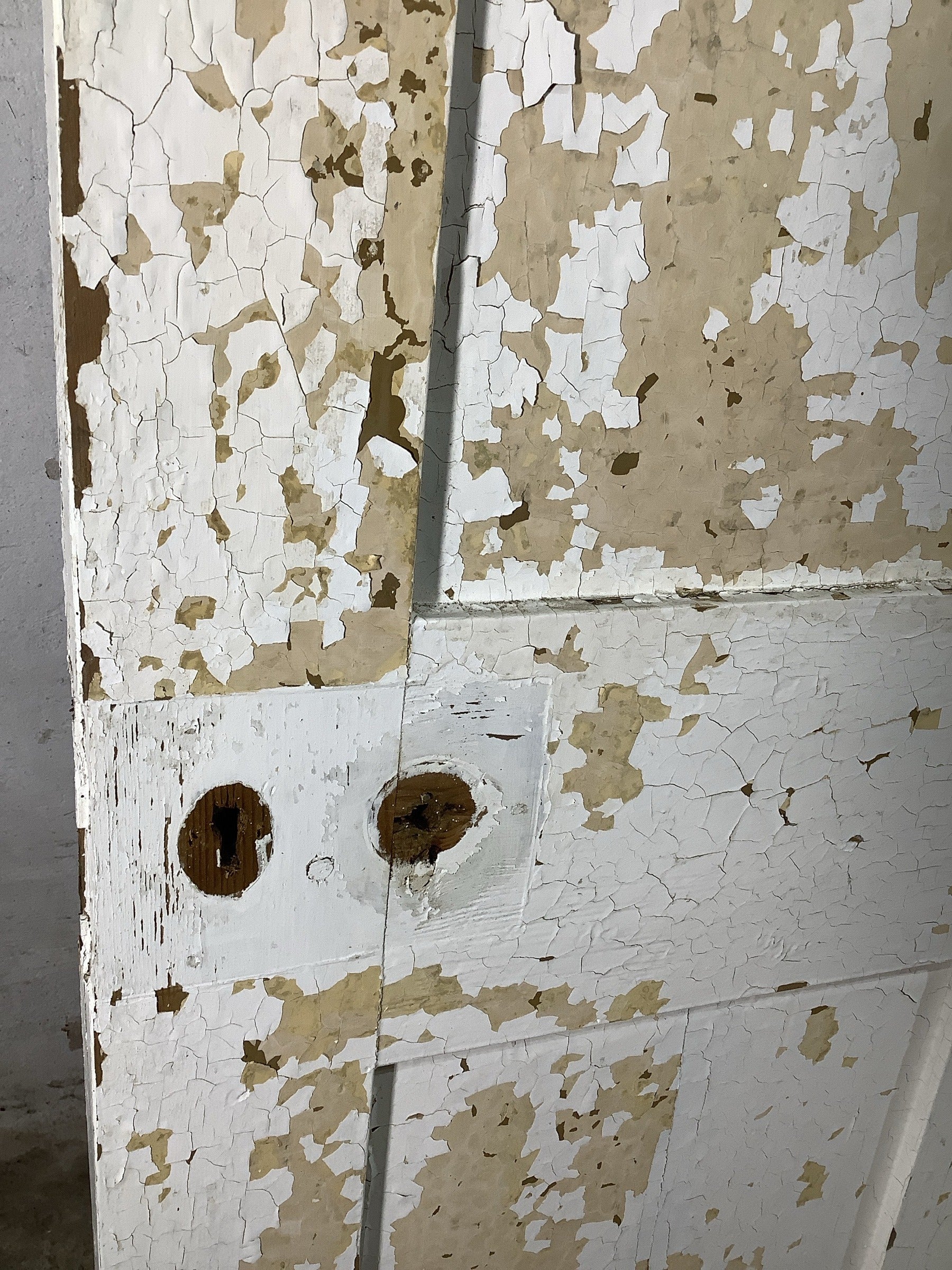 10th Pic Victorian Internal Painted  Pine Reclaimed Door