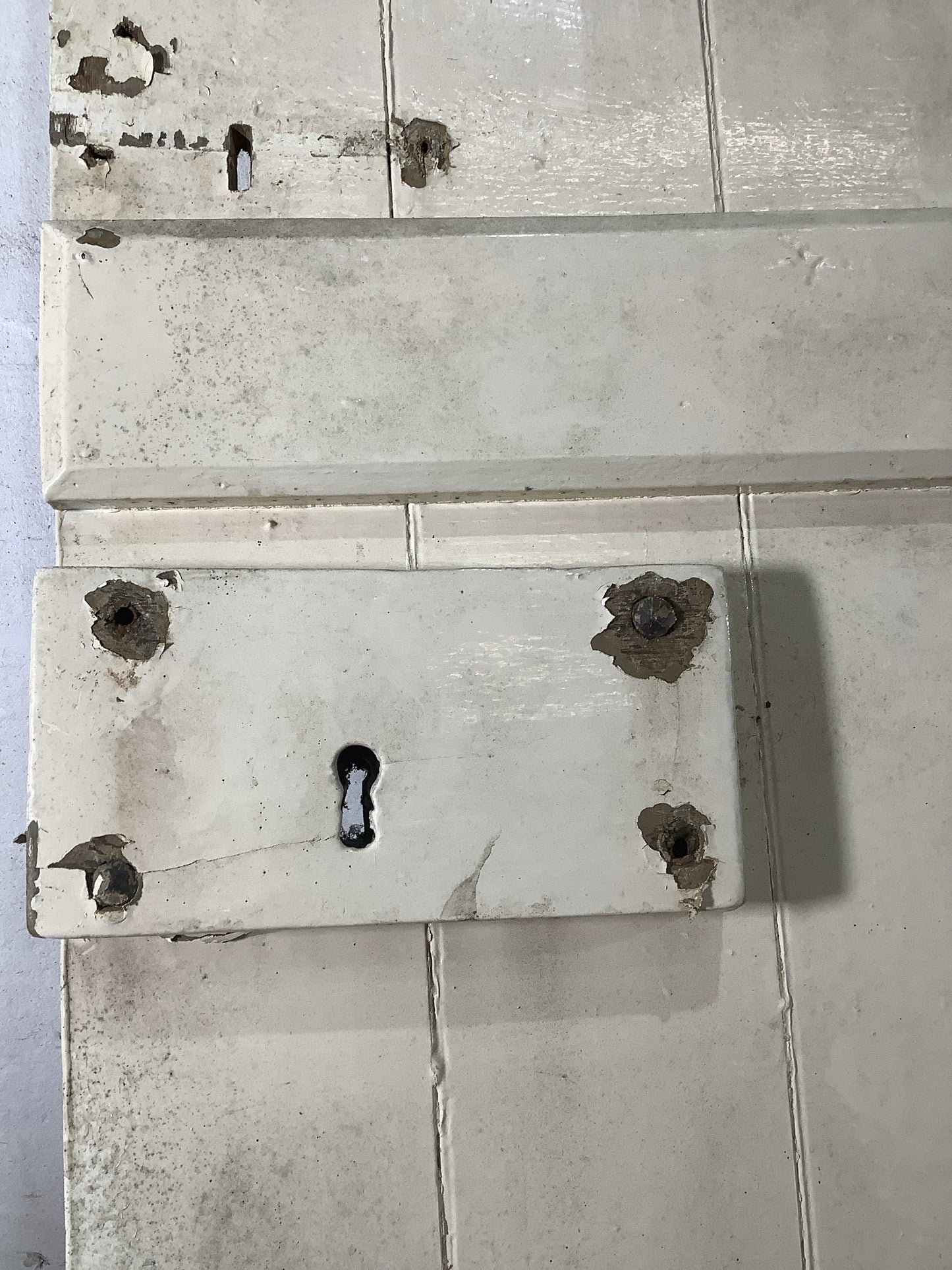 4th Pic Old Internal Painted  Pine Reclaimed Door