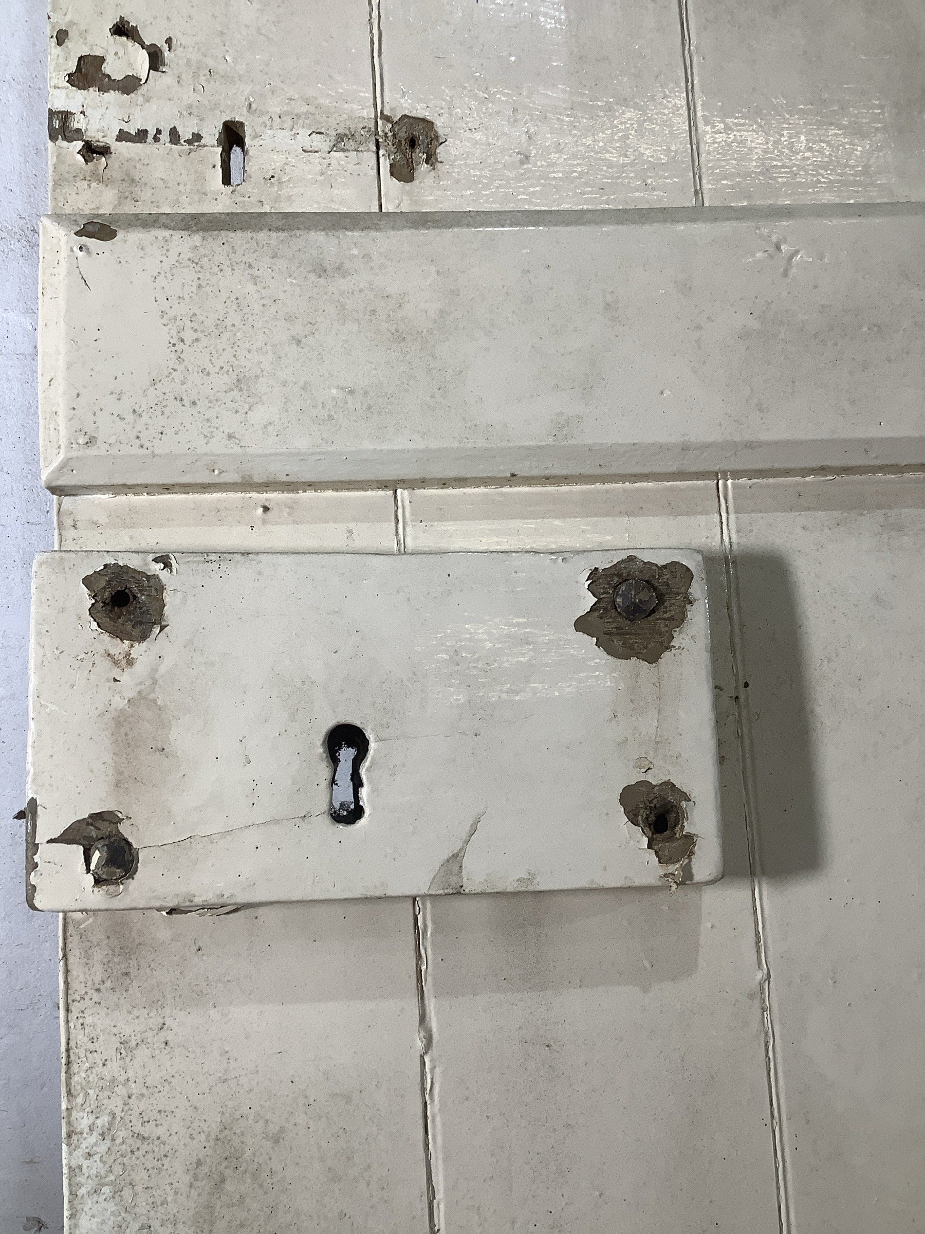 4th Pic Old Internal Painted  Pine Reclaimed Door