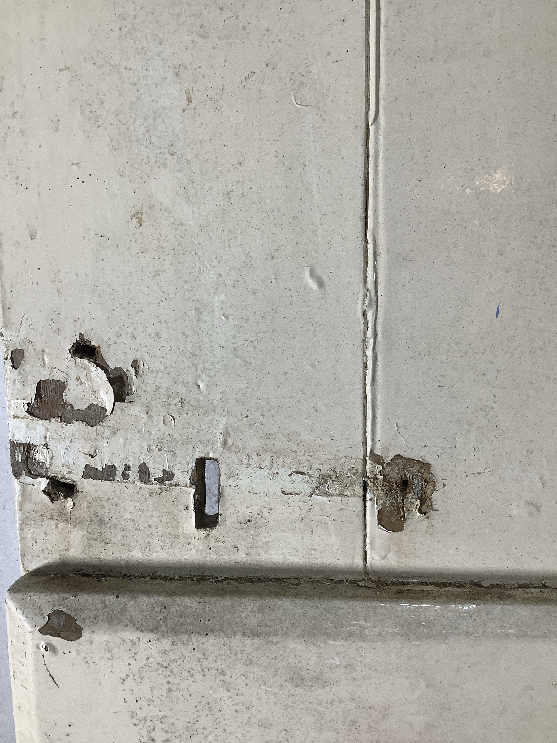 5th Pic Old Internal Painted  Pine Reclaimed Door