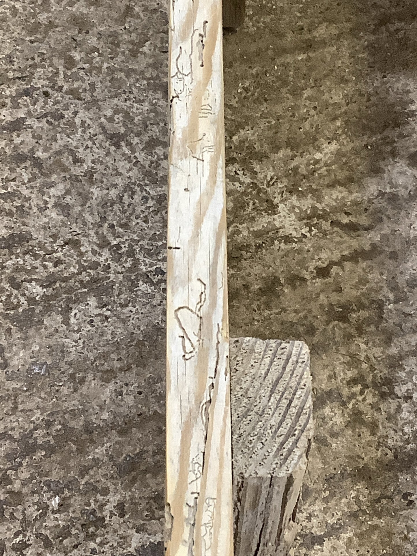 4'2" Long Rustic Old Stripped Pine Kitchen Bench Wooden