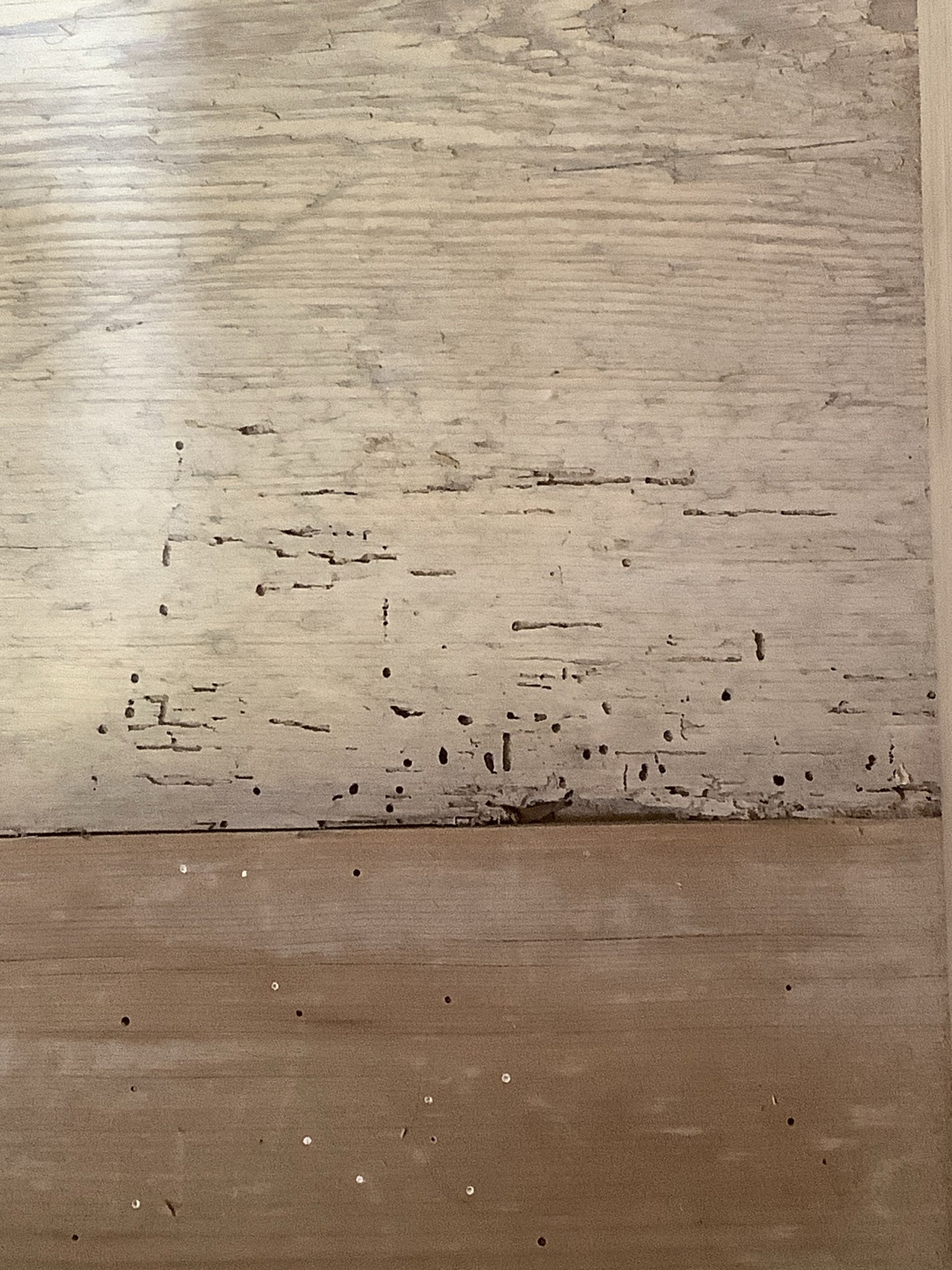 Wood worm damage inside bottom all treated