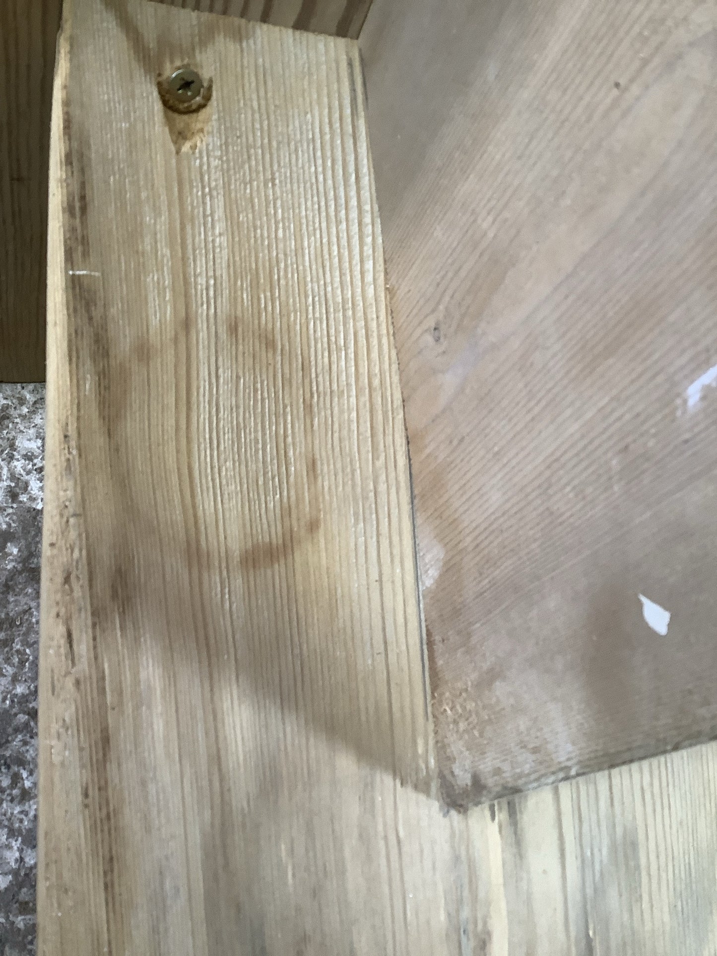 Ring mark on inside leg