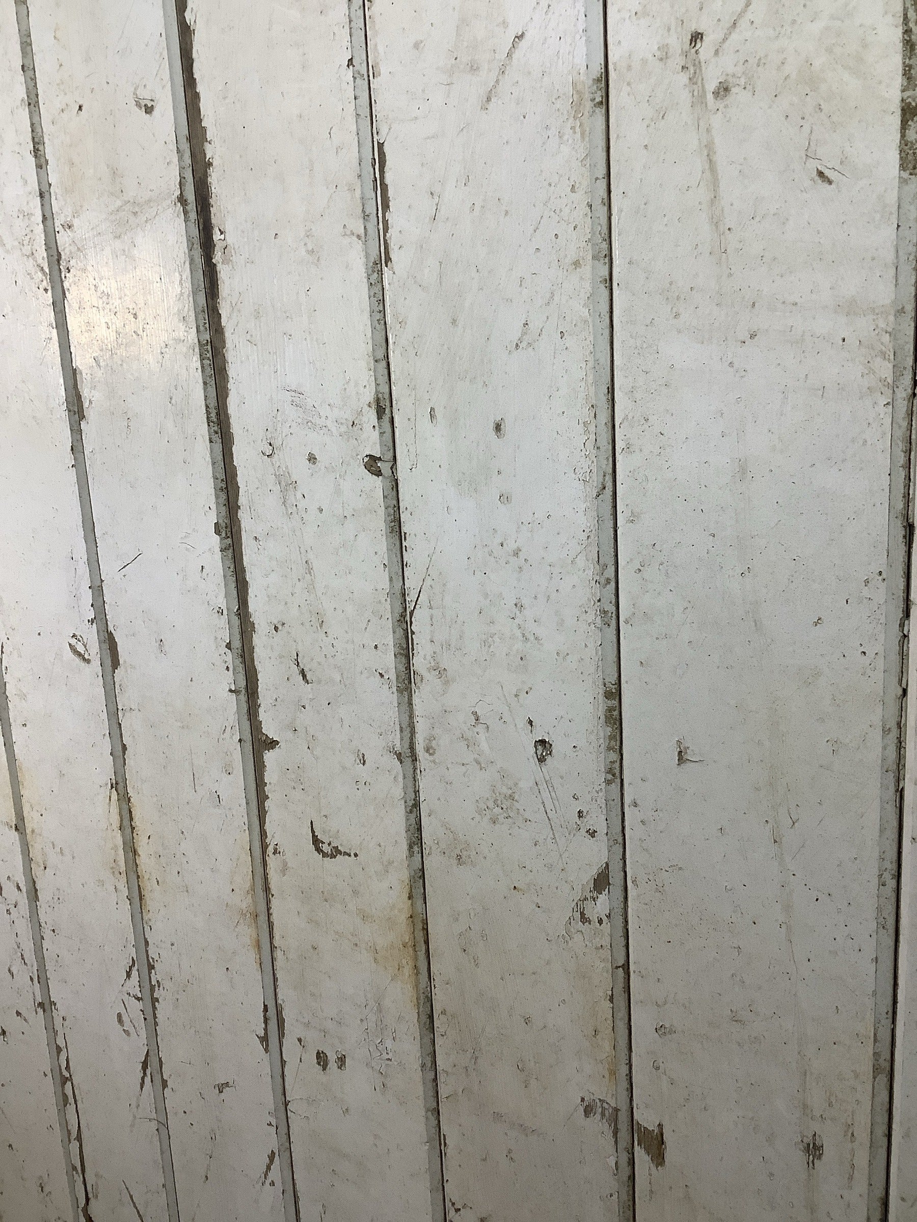 11th Pic Old Internal Painted  Pine Reclaimed Door