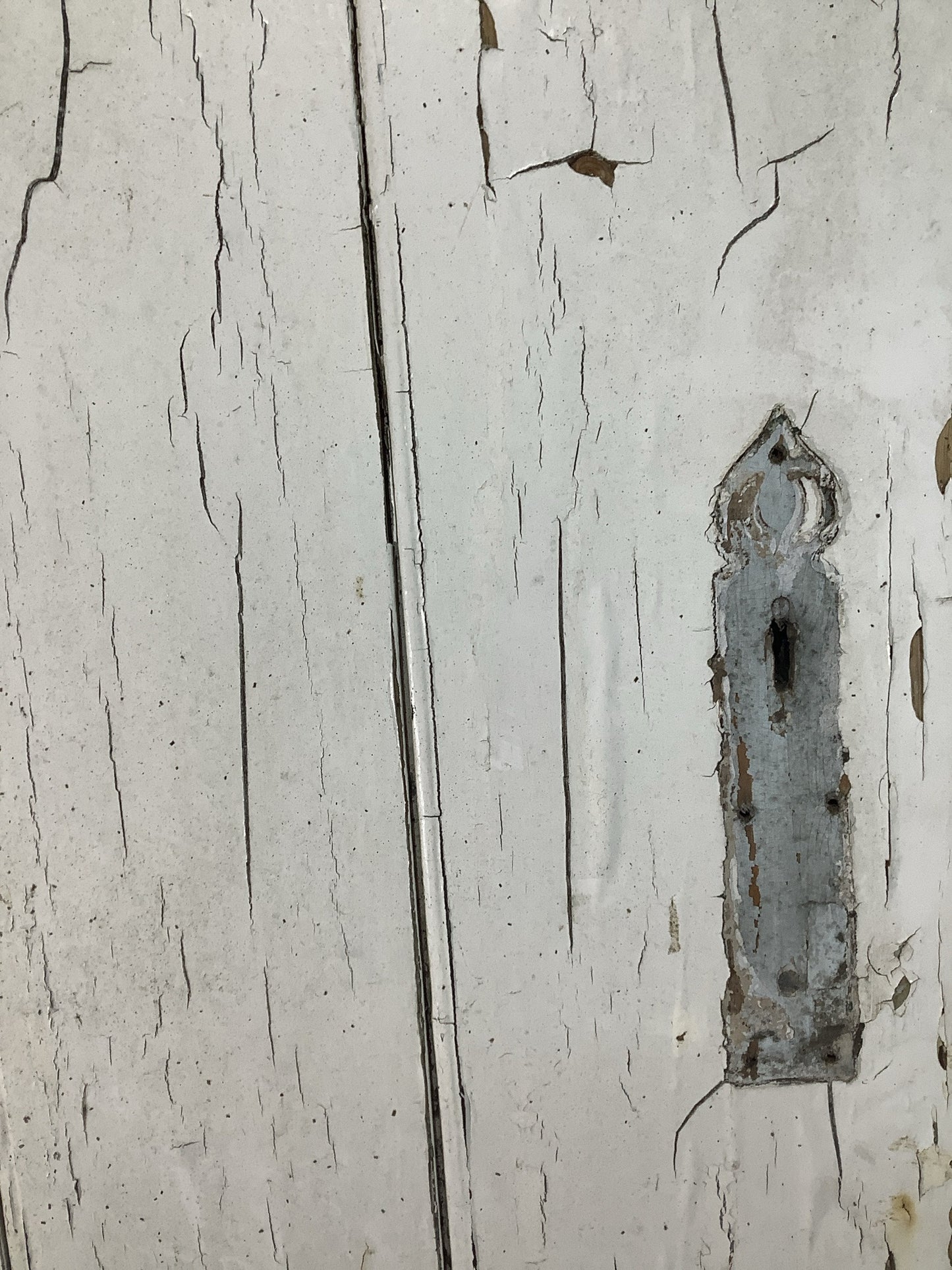 4th Pic Old Internal Painted  Pine Reclaimed Door