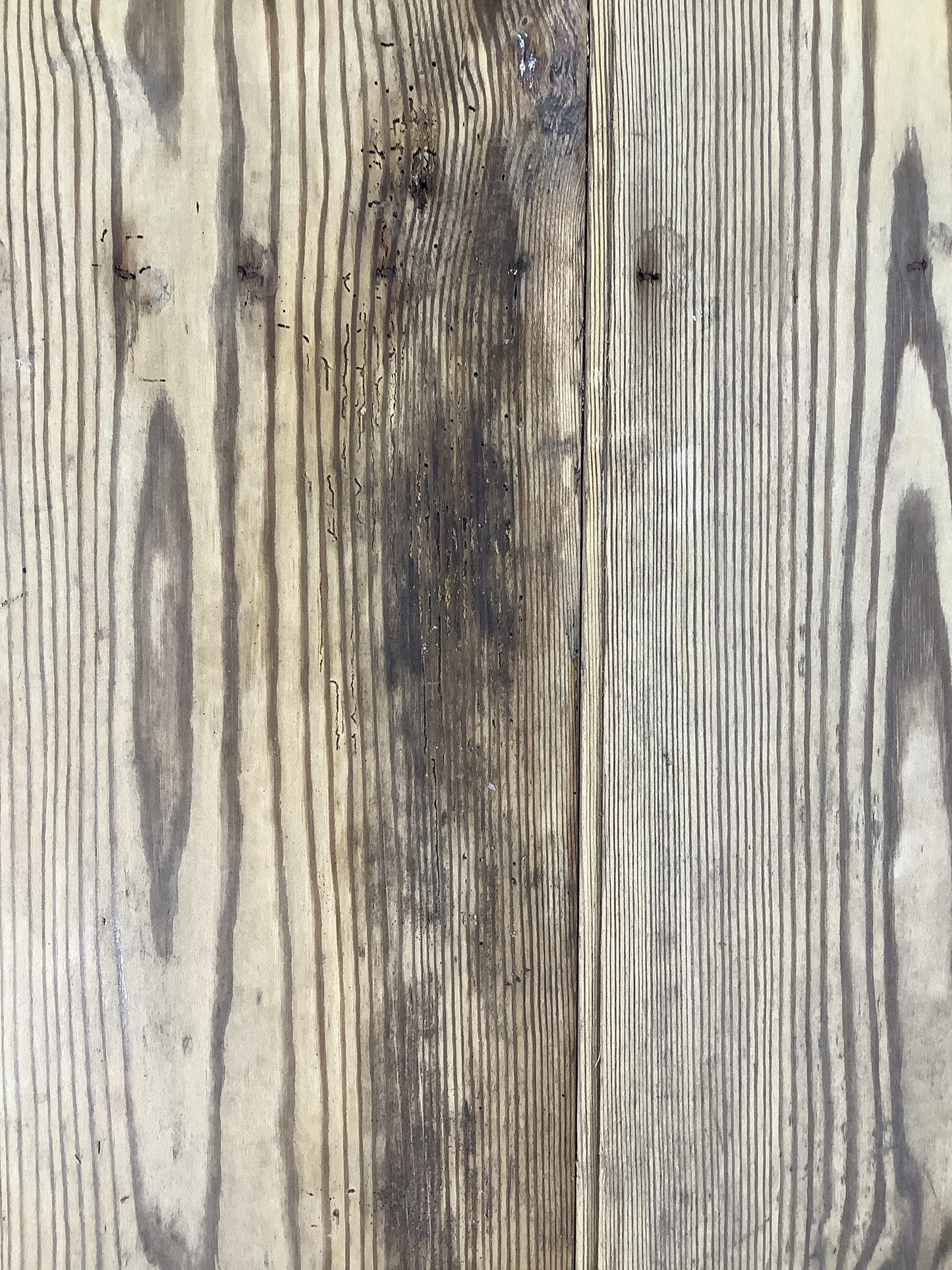 6th Picture showing wood worm