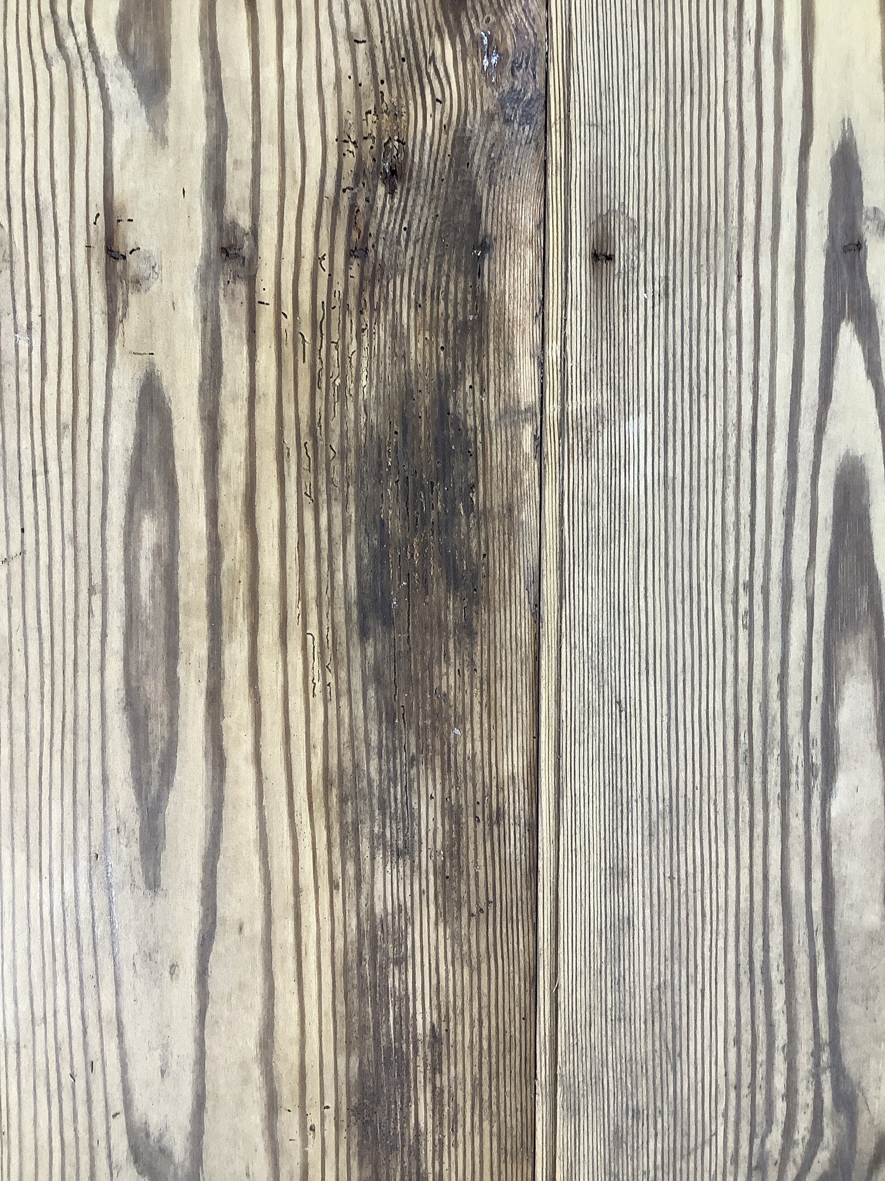 6th Picture showing wood worm