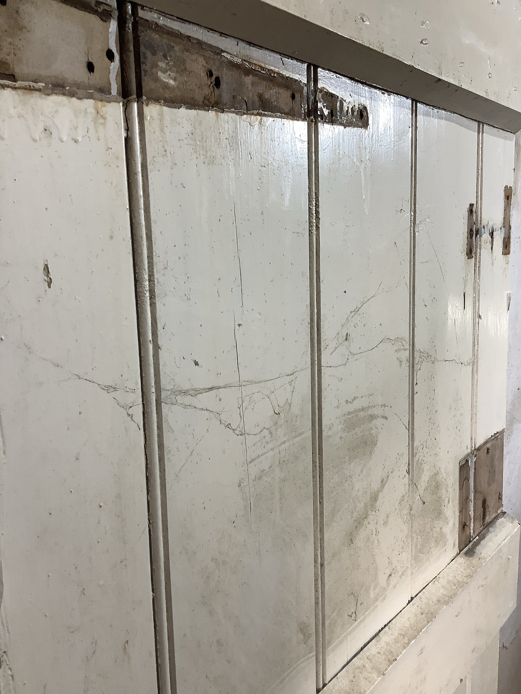 12th Pic Old Internal Painted  Pine Reclaimed Door