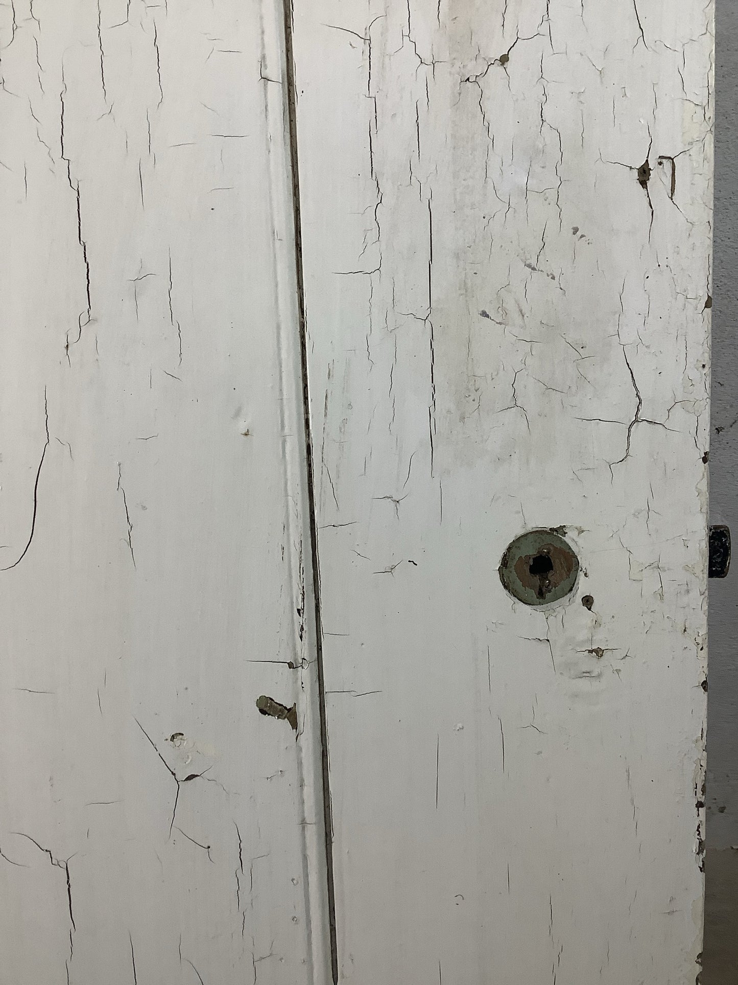 4th Pic Very Old Internal Painted  Elm Reclaimed Door