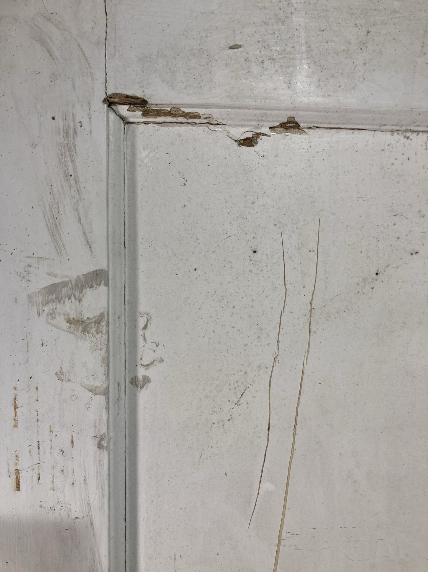 4th Pic 1930s Internal Painted  Pitch Pine Reclaimed Door