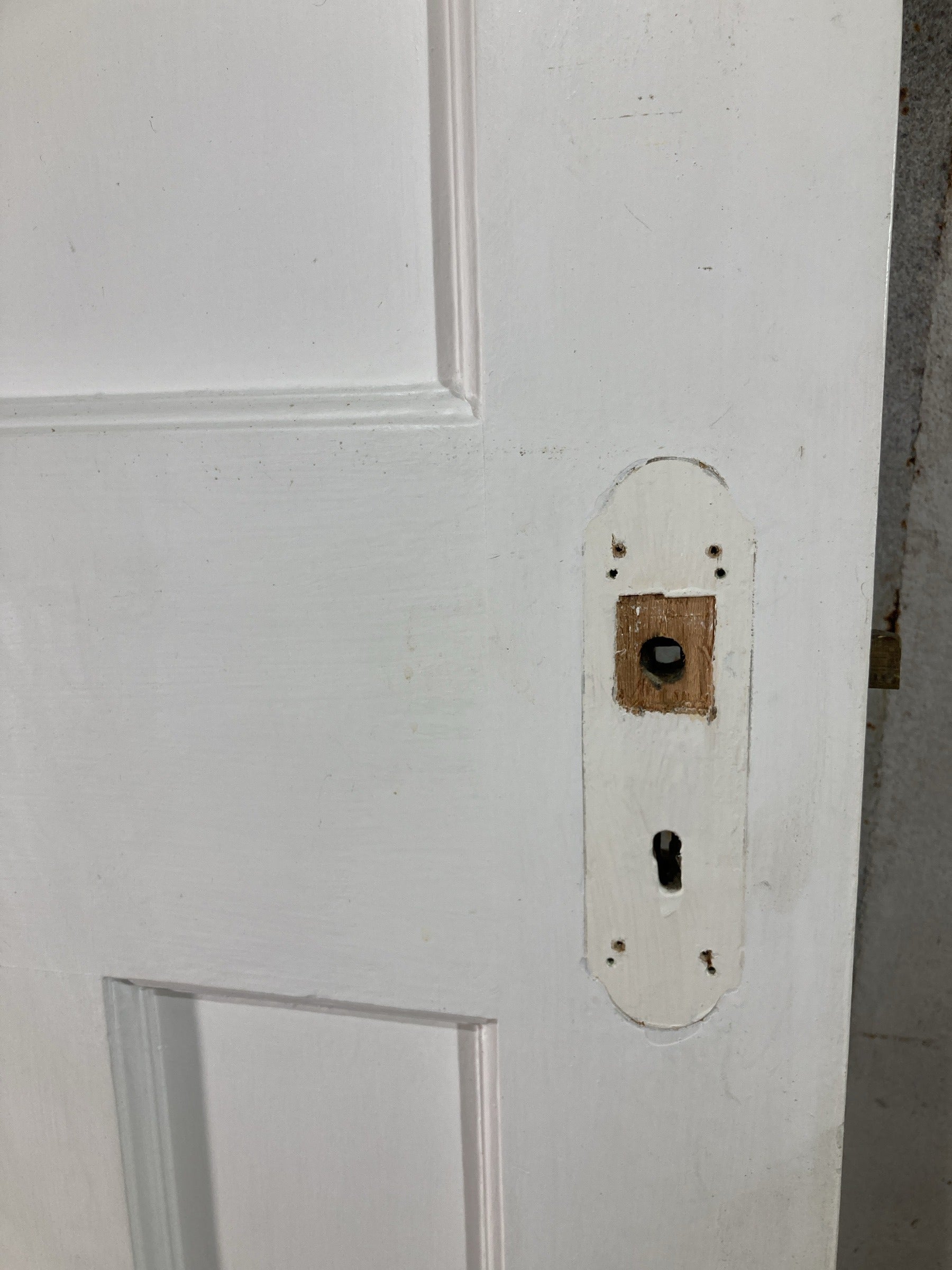 4th Pic 1930s Internal Painted  Pitch Pine Reclaimed Door