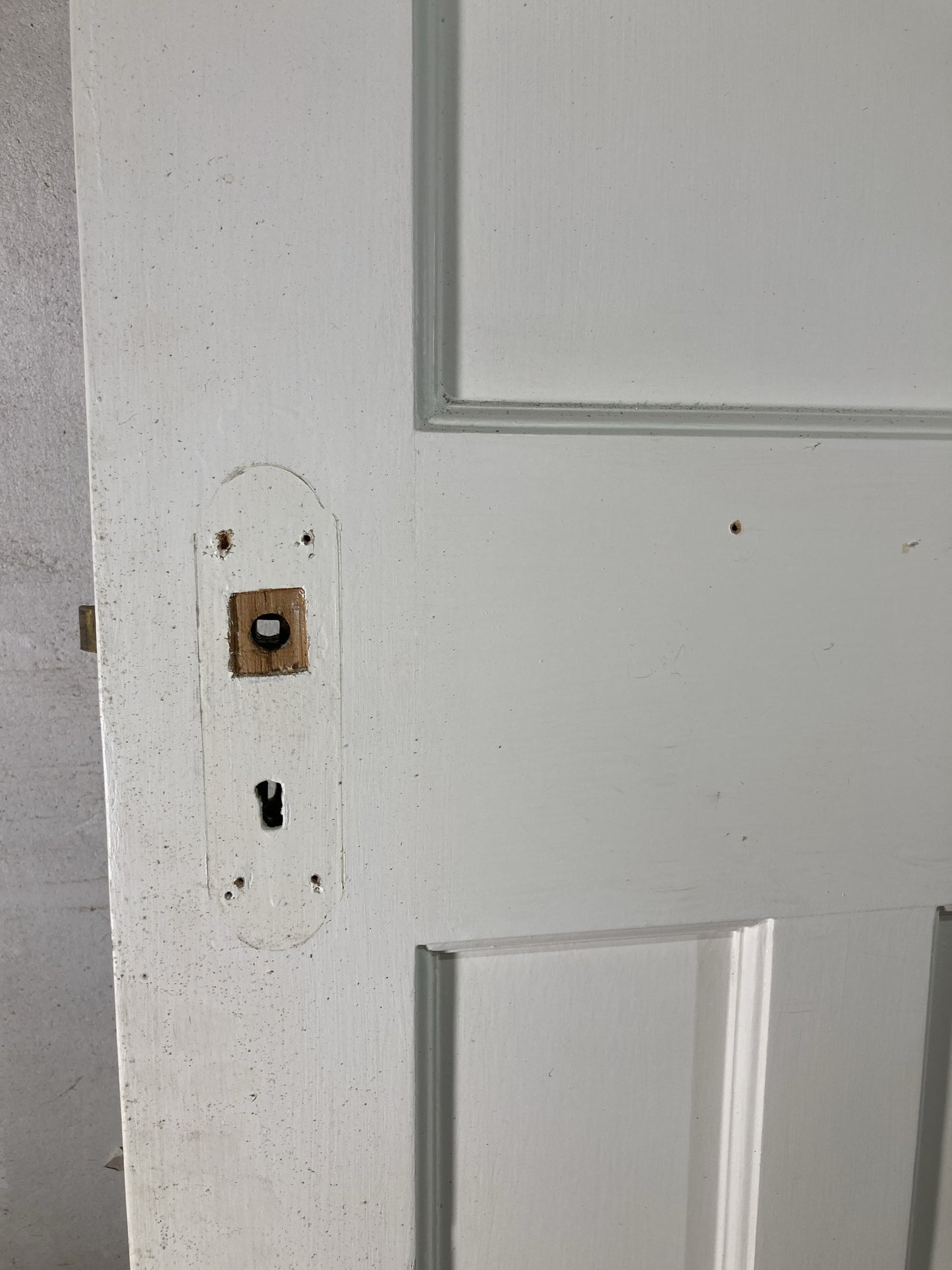 10th Pic 1930s Internal Painted  Pitch Pine Reclaimed Door