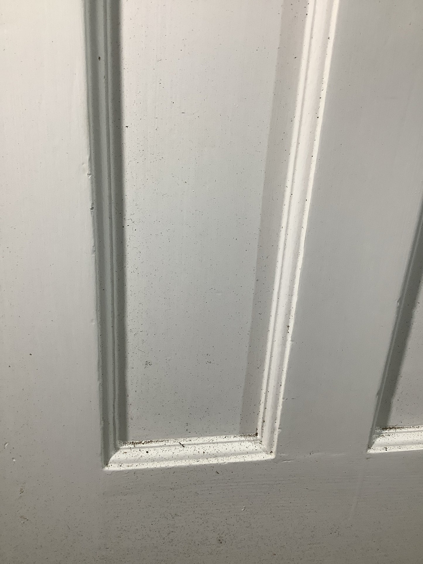 6th Pic 1930s Internal Painted  Pitch Pine Reclaimed Door