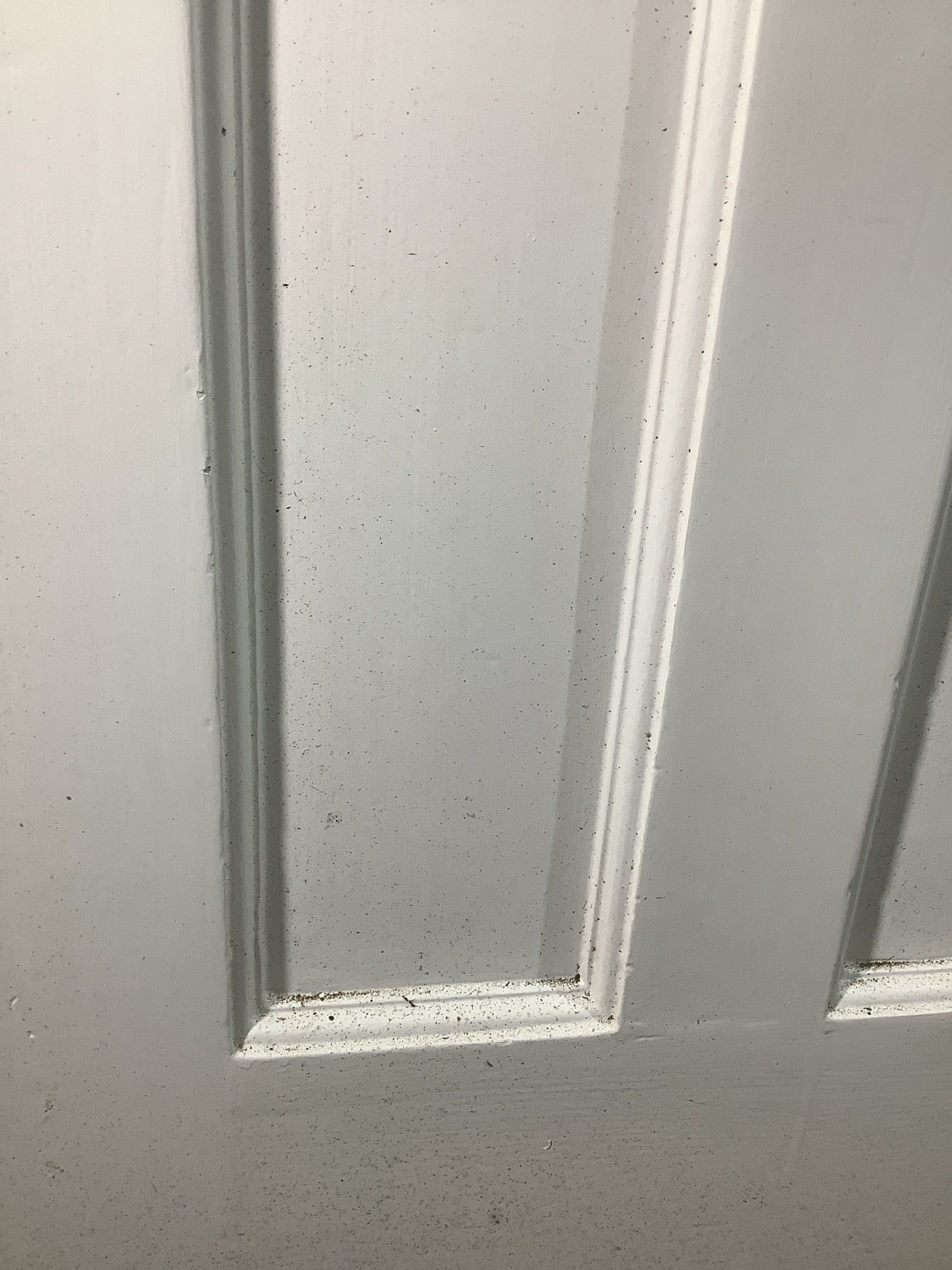 6th Pic 1930s Internal Painted  Pitch Pine Reclaimed Door