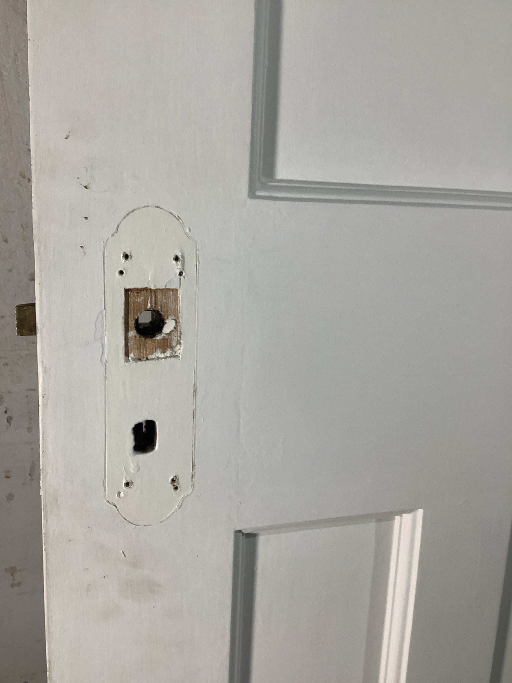 10th Pic 1930s Internal Painted  Pitch Pine Reclaimed Door