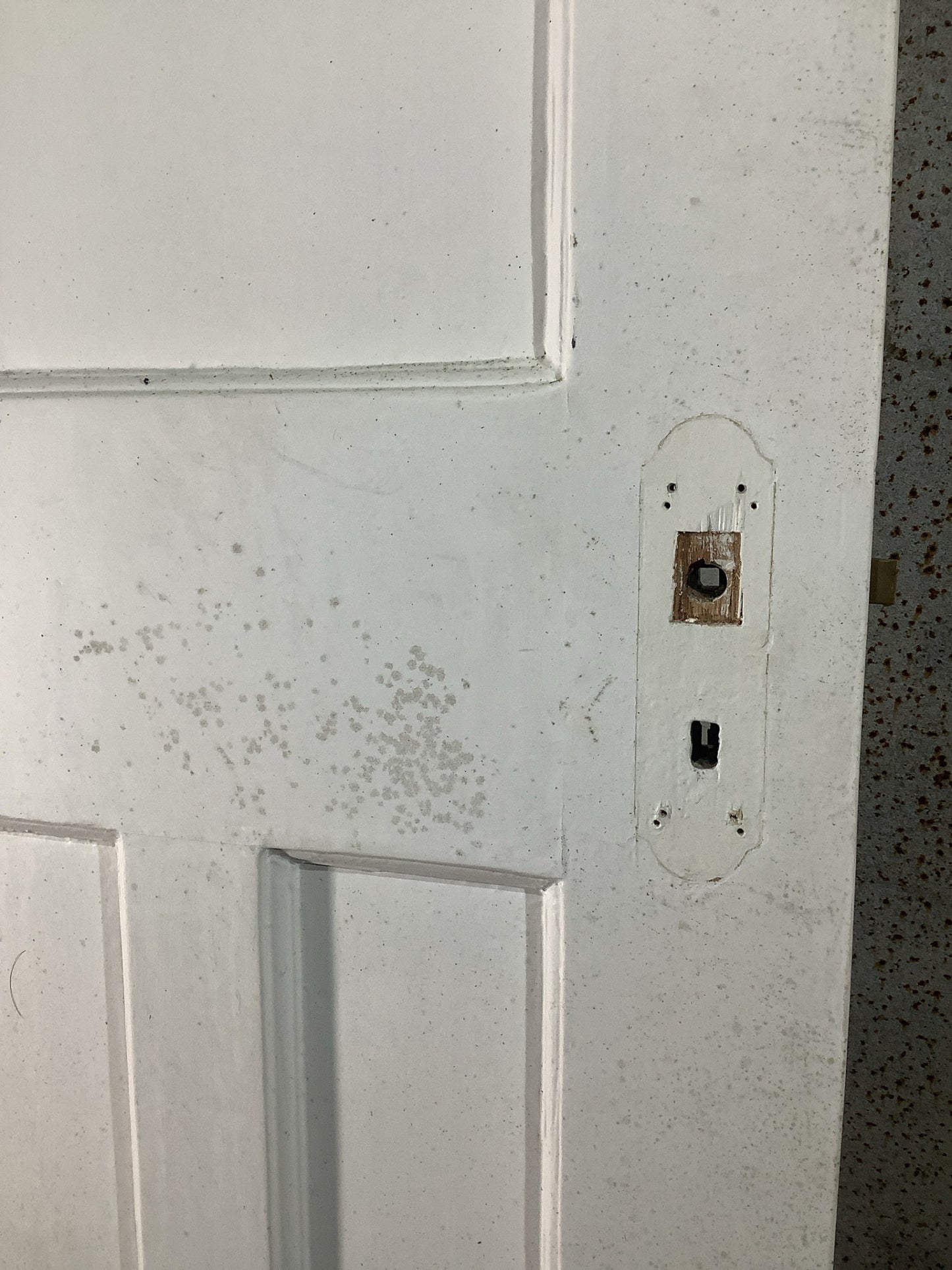 6th Pic 1930s Internal Painted  Pitch Pine Reclaimed Door