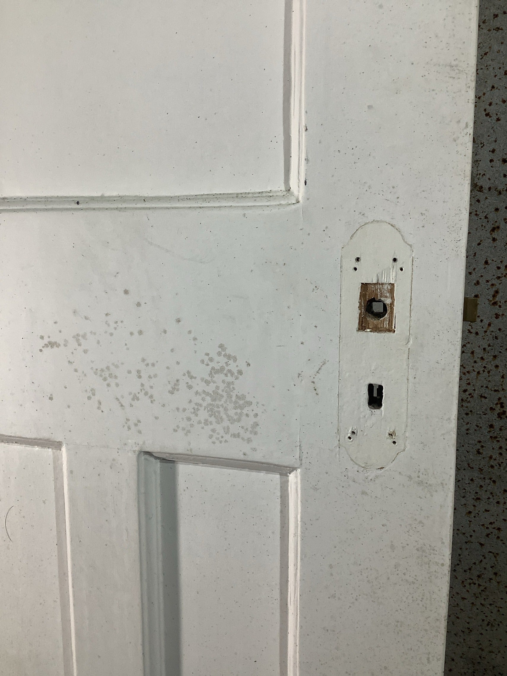 6th Pic 1930s Internal Painted  Pitch Pine Reclaimed Door