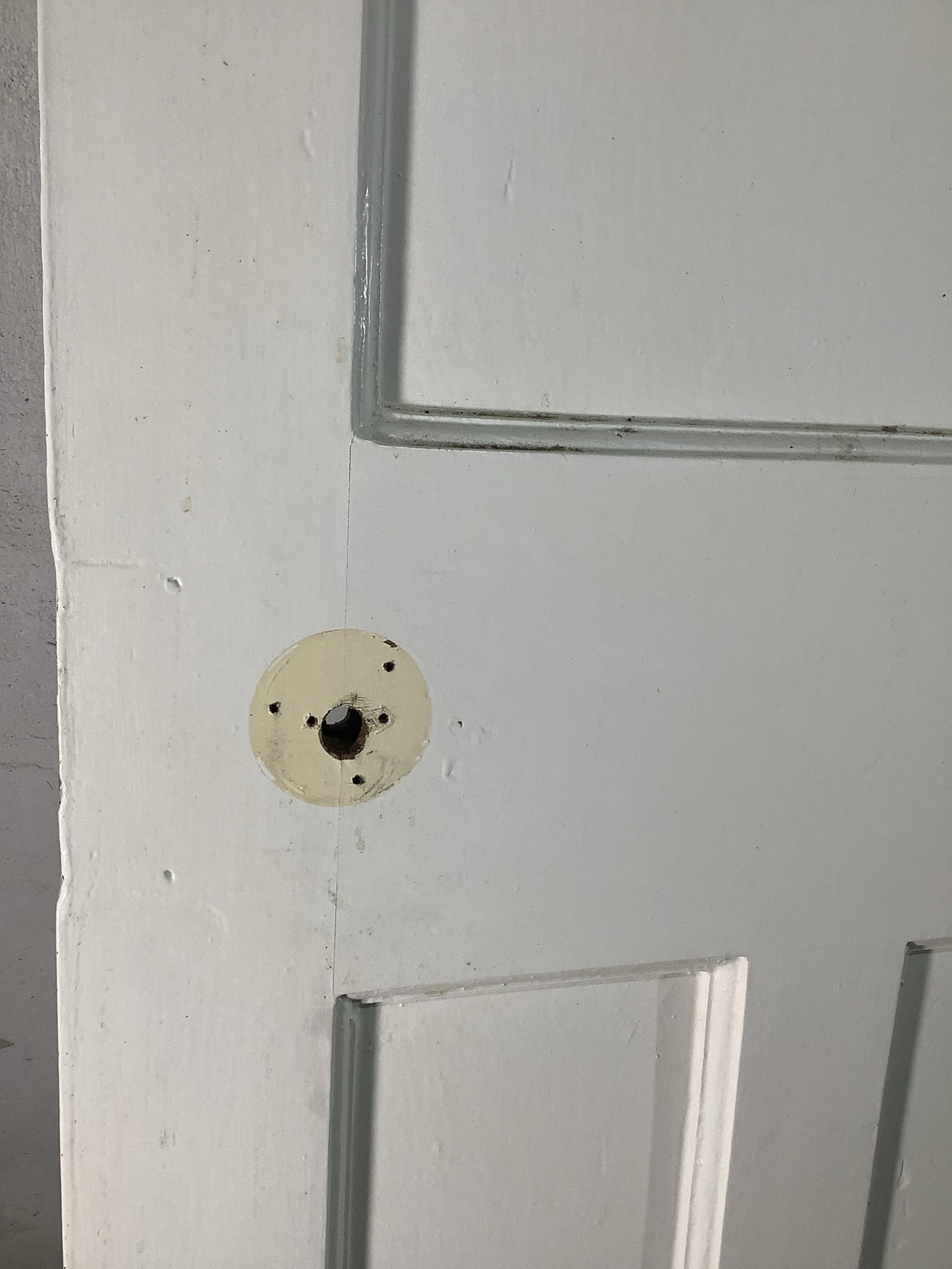 10th Pic 1930s Internal Painted  Pitch Pine Reclaimed Door