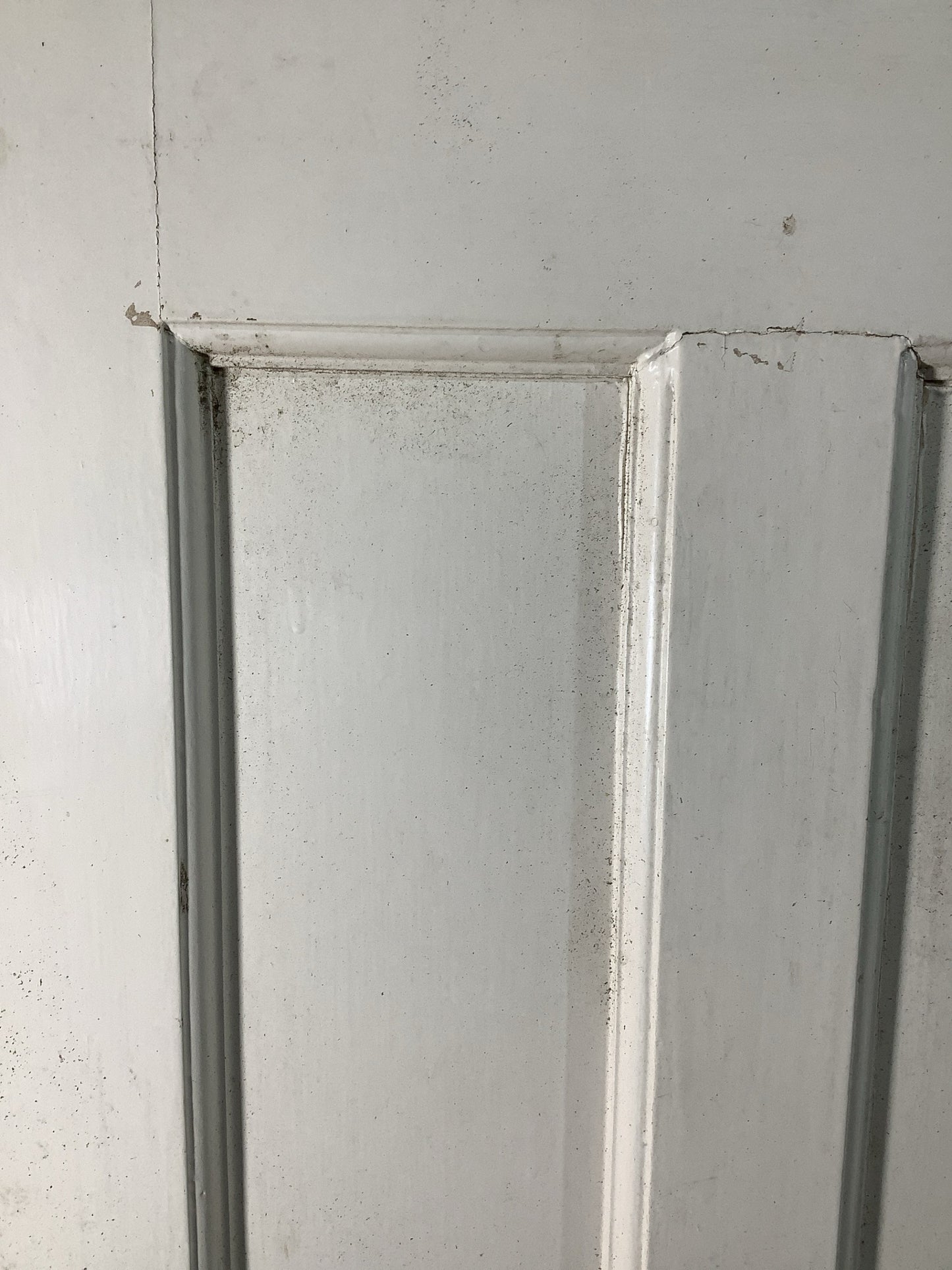 4th Pic 1930s Internal Painted  Pitch Pine Reclaimed Door