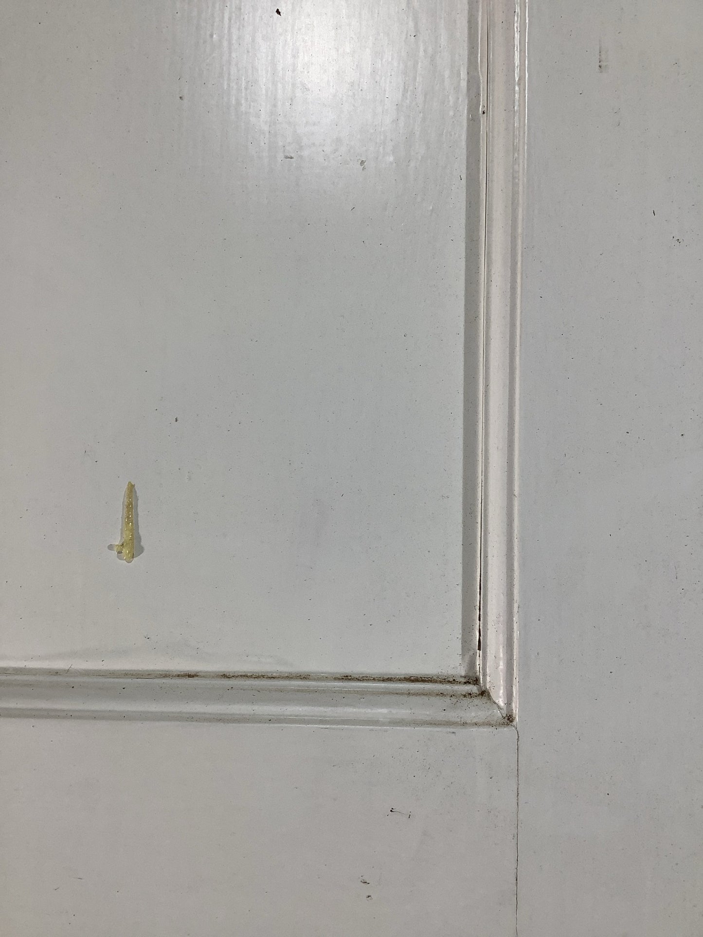 11th Pic 1930s Internal Painted  Pitch Pine Reclaimed Door