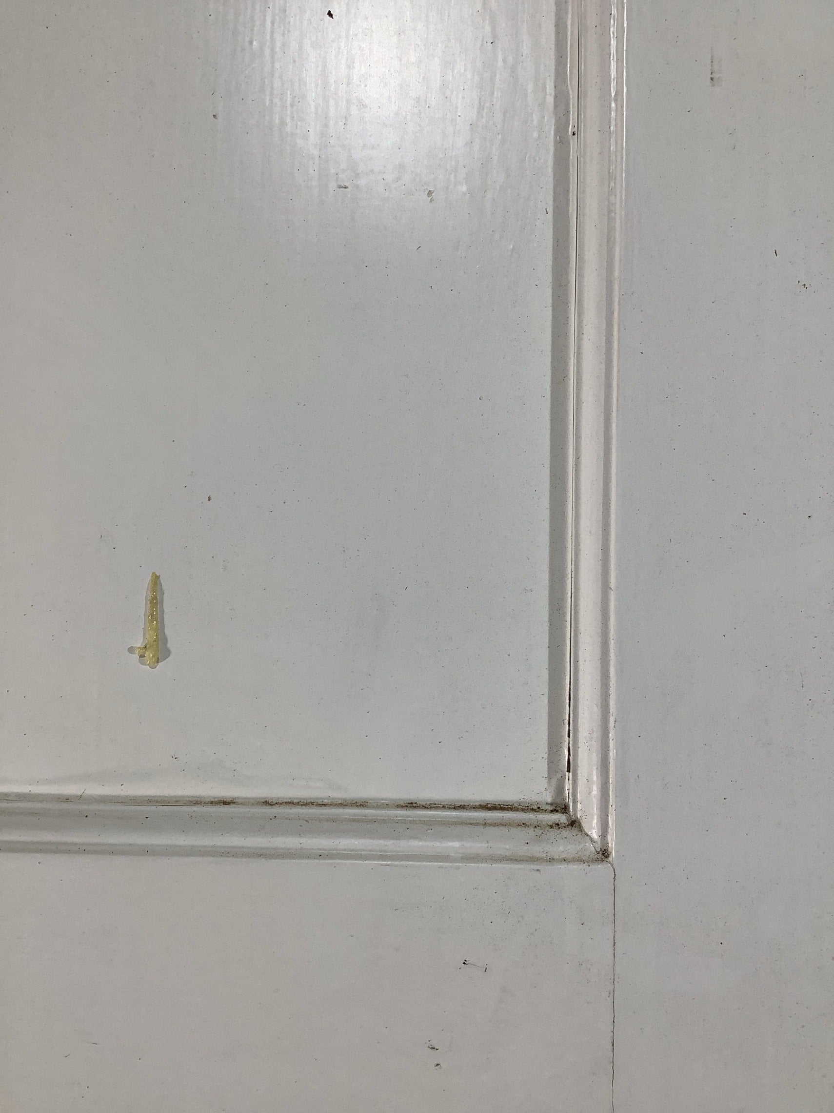 11th Pic 1930s Internal Painted  Pitch Pine Reclaimed Door