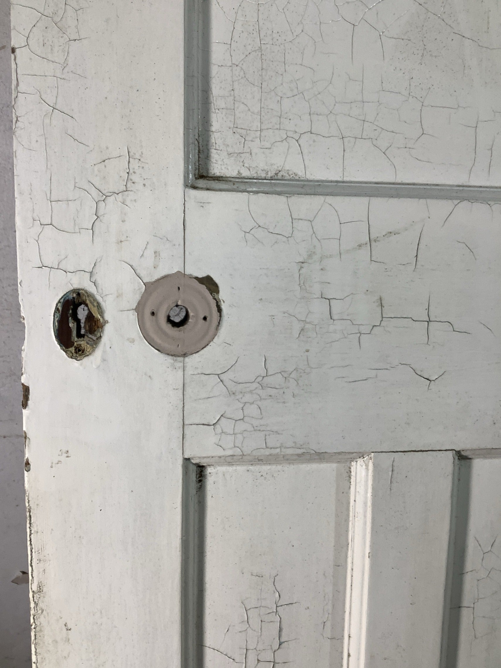 10th Pic 1930s Internal Painted  Pitch Pine Reclaimed Door