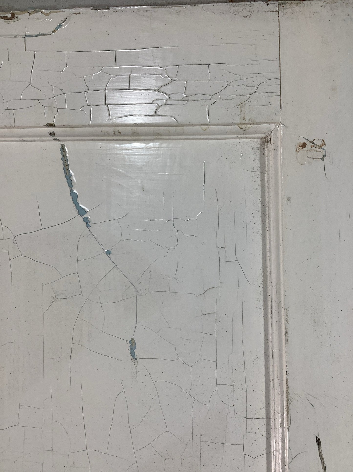 11th Pic 1930s Internal Painted  Pitch Pine Reclaimed Door