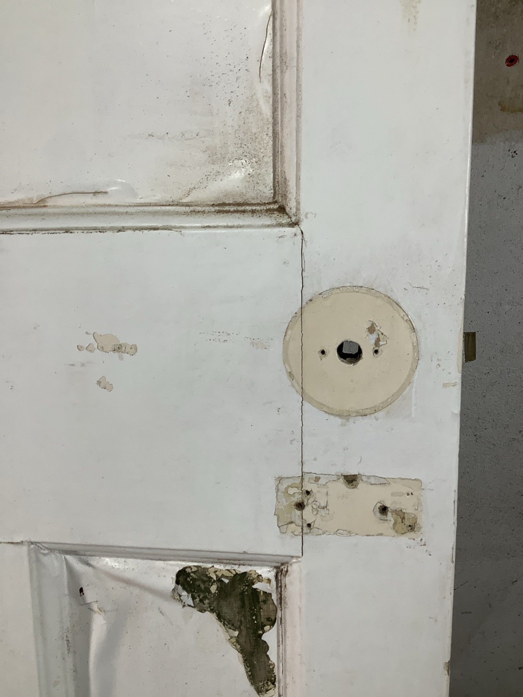 5th Pic 1930s Internal Painted  Pitch Pine Reclaimed Door