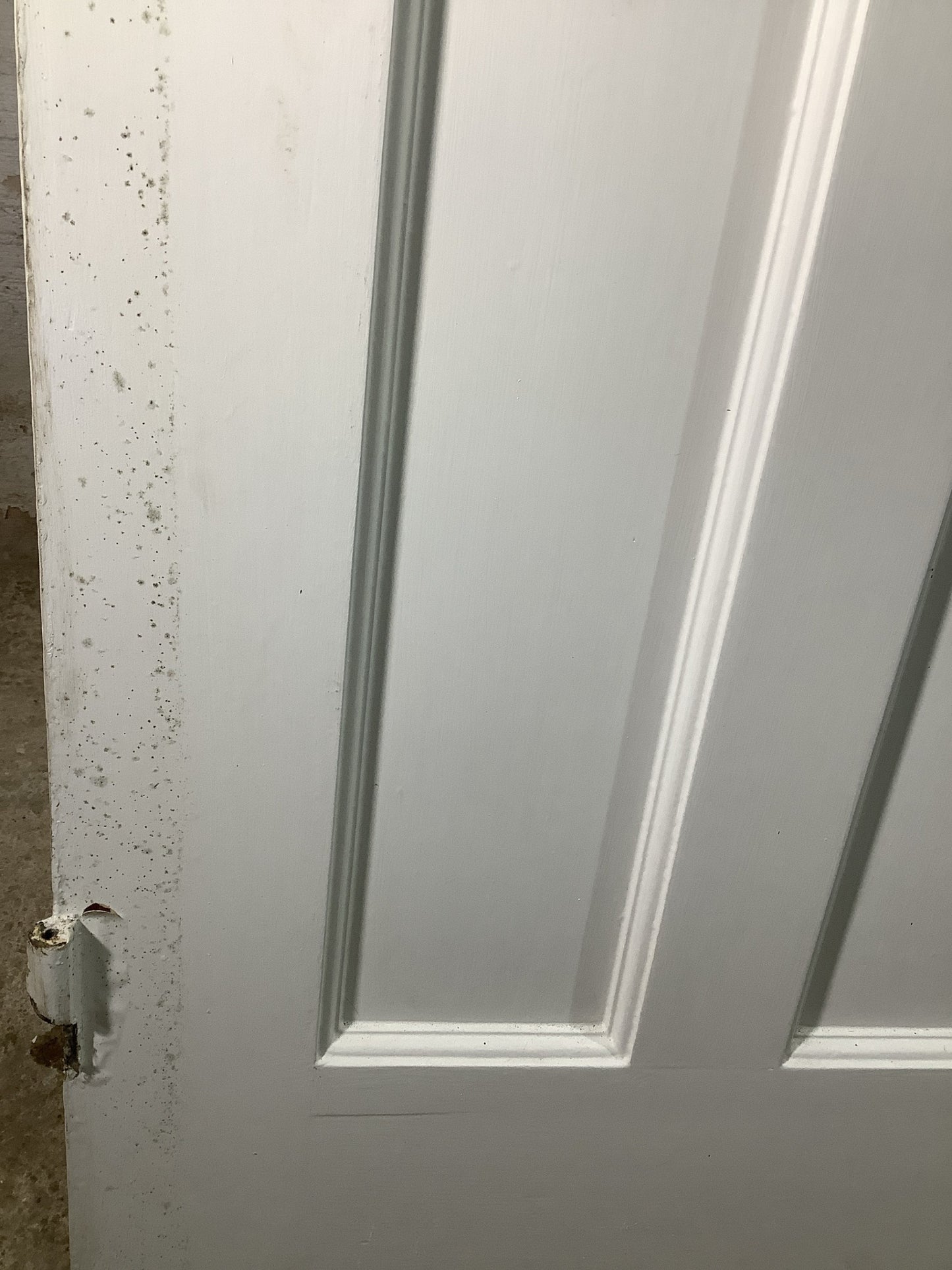 12th Pic 1930s Internal Painted  Pitch Pine Reclaimed Door