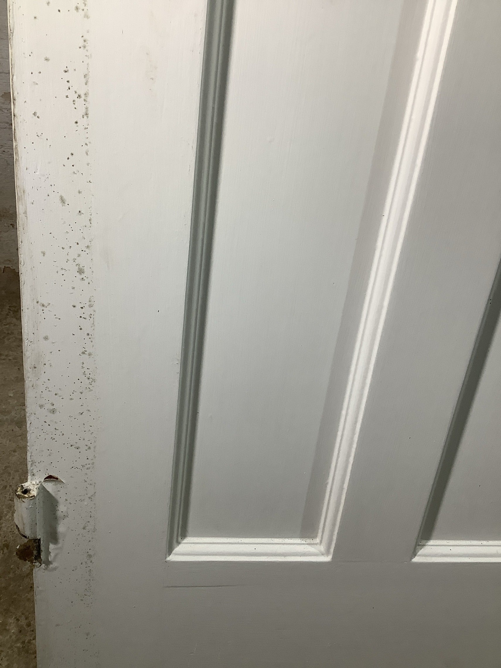 12th Pic 1930s Internal Painted  Pitch Pine Reclaimed Door