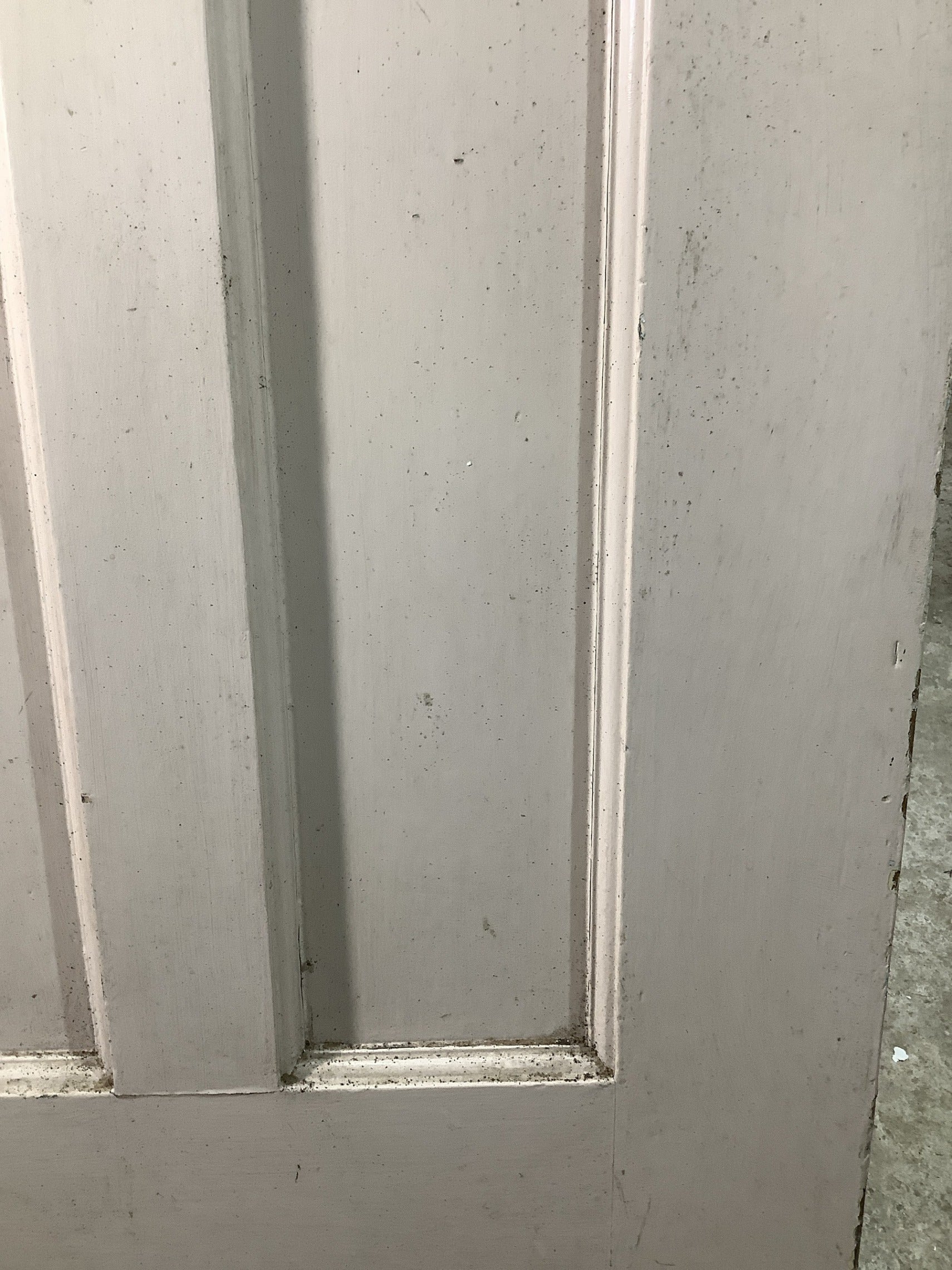 12th Pic 1930s Internal Painted  Pitch Pine Reclaimed Door
