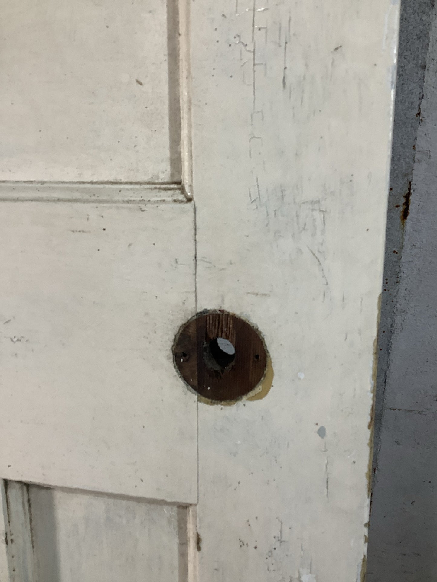 11th Pic 1930s Internal Painted  Pitch Pine Reclaimed Door