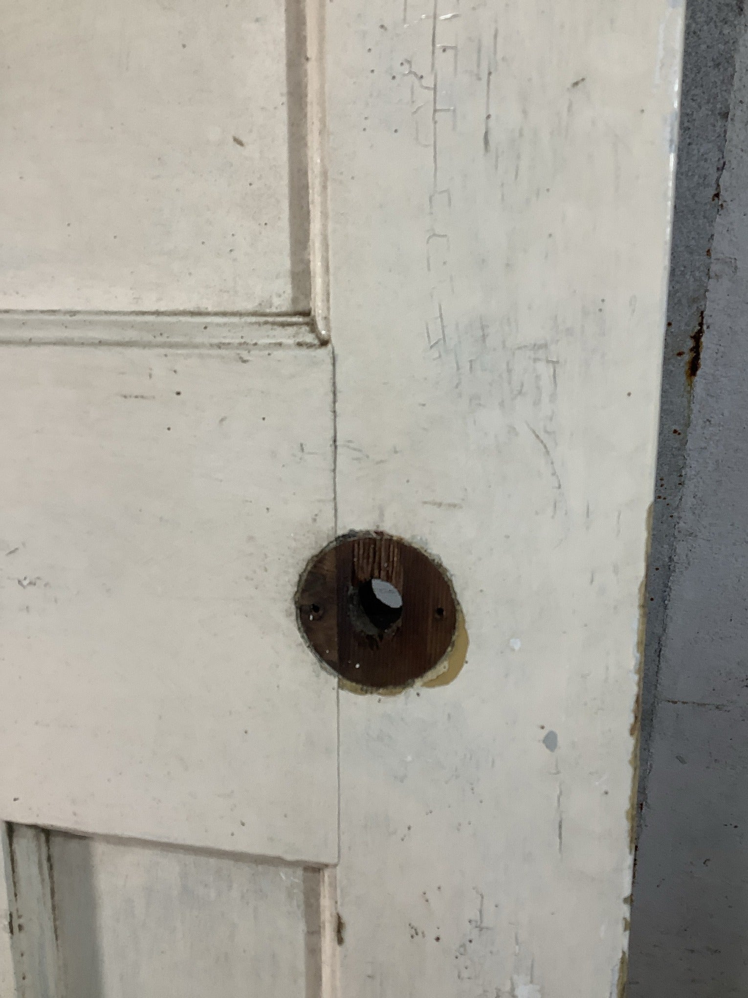 11th Pic 1930s Internal Painted  Pitch Pine Reclaimed Door