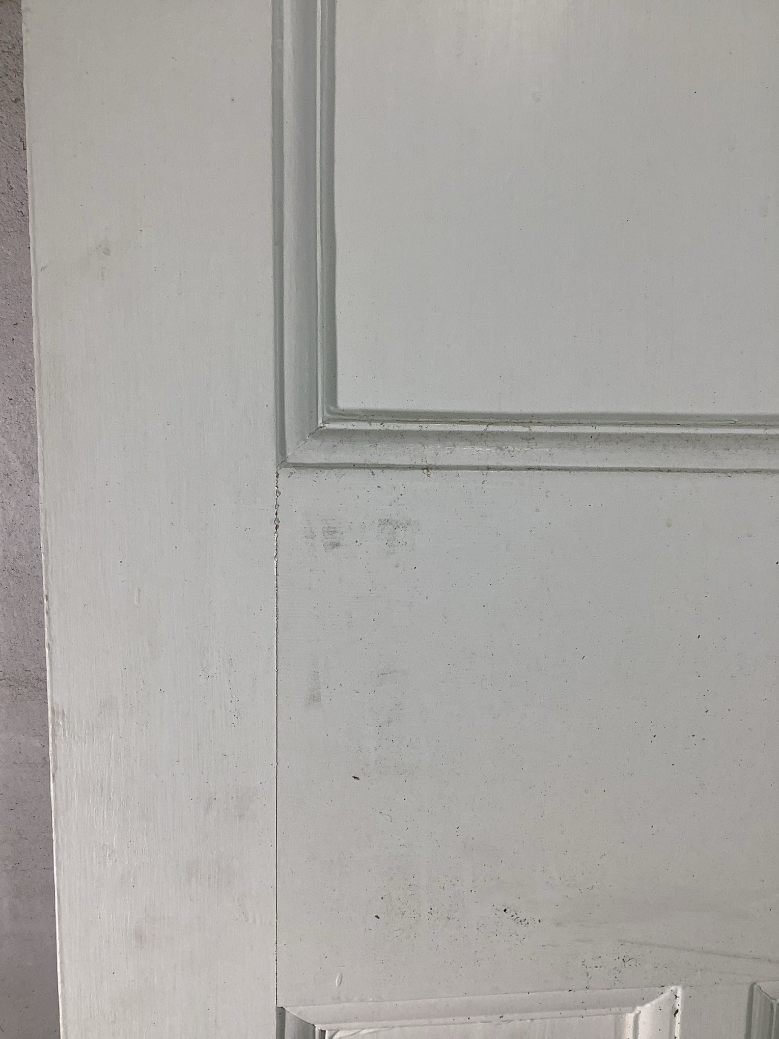 4th Pic 1930s Internal Painted  Pitch Pine Reclaimed Door