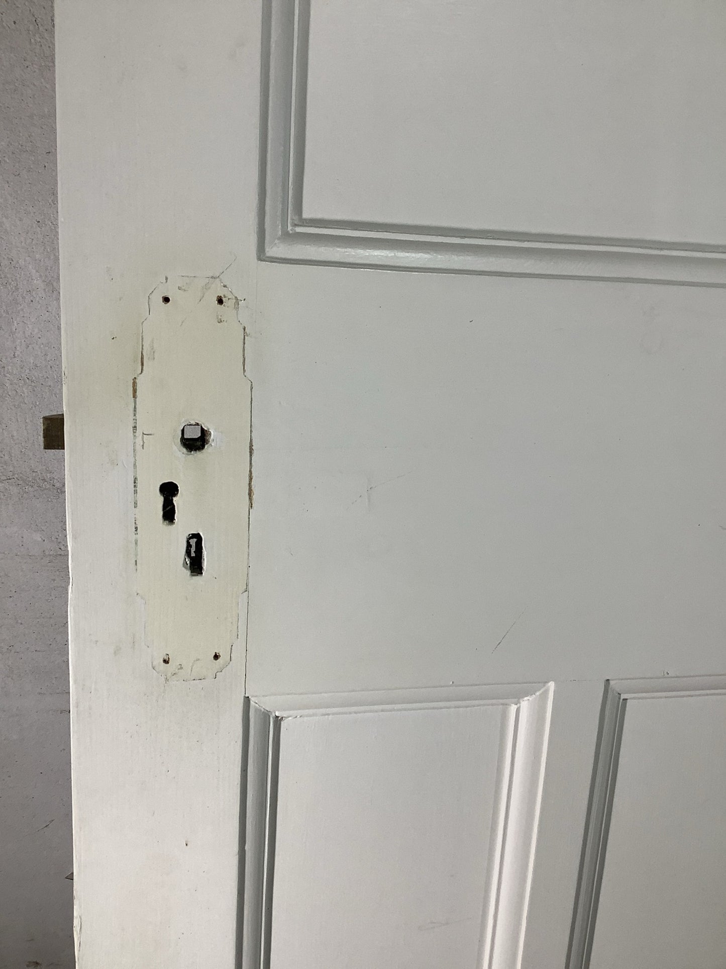 10th Pic 1930s Internal Painted  Pine Reclaimed Door